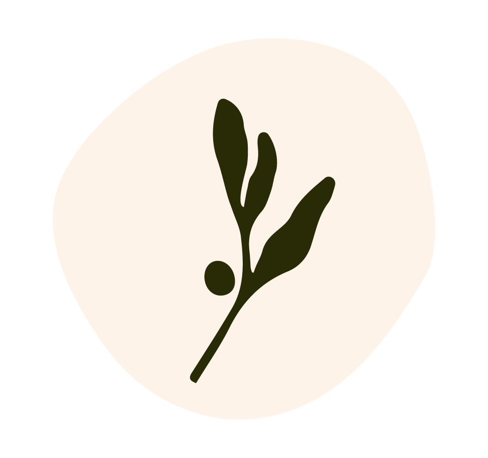 Minimalist illustration of an olive branch with three leaves and one olive, on a rounded off white background.