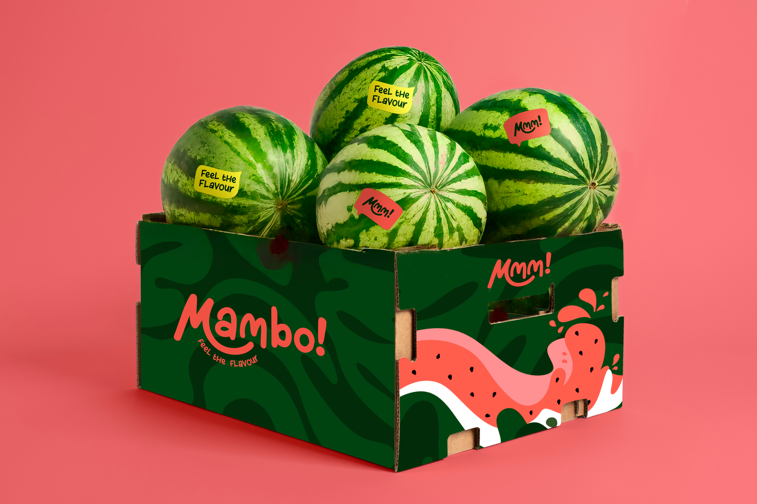 watermelon box.png