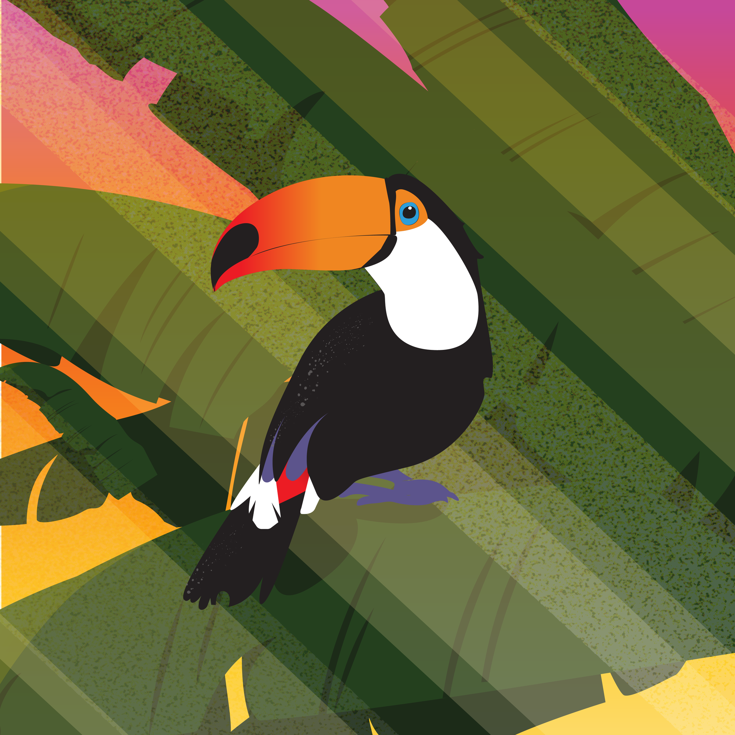 bird illustration detail-01.png
