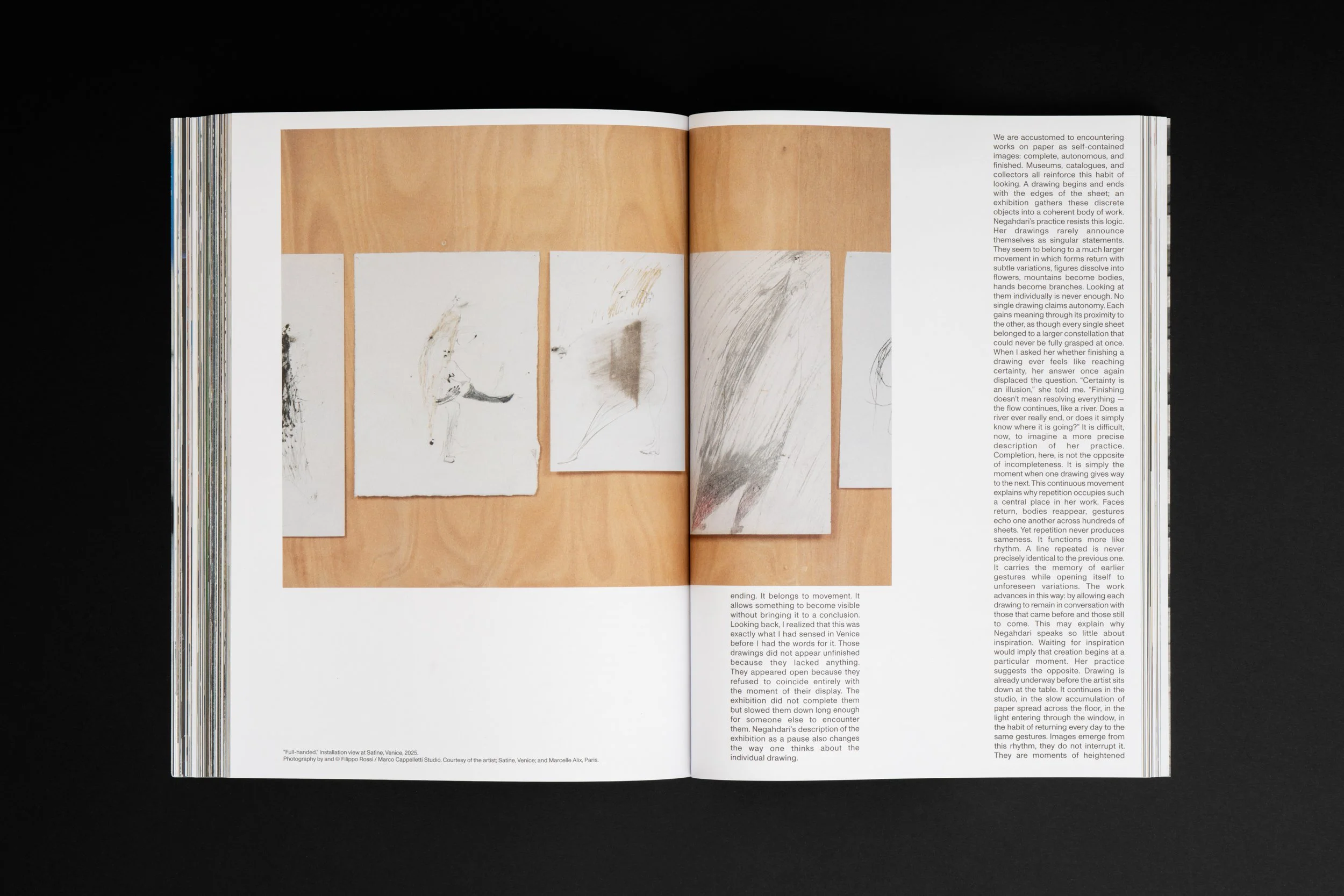 Flash Art ISSUE 356 Vol 59 - Armineh Negahdari
