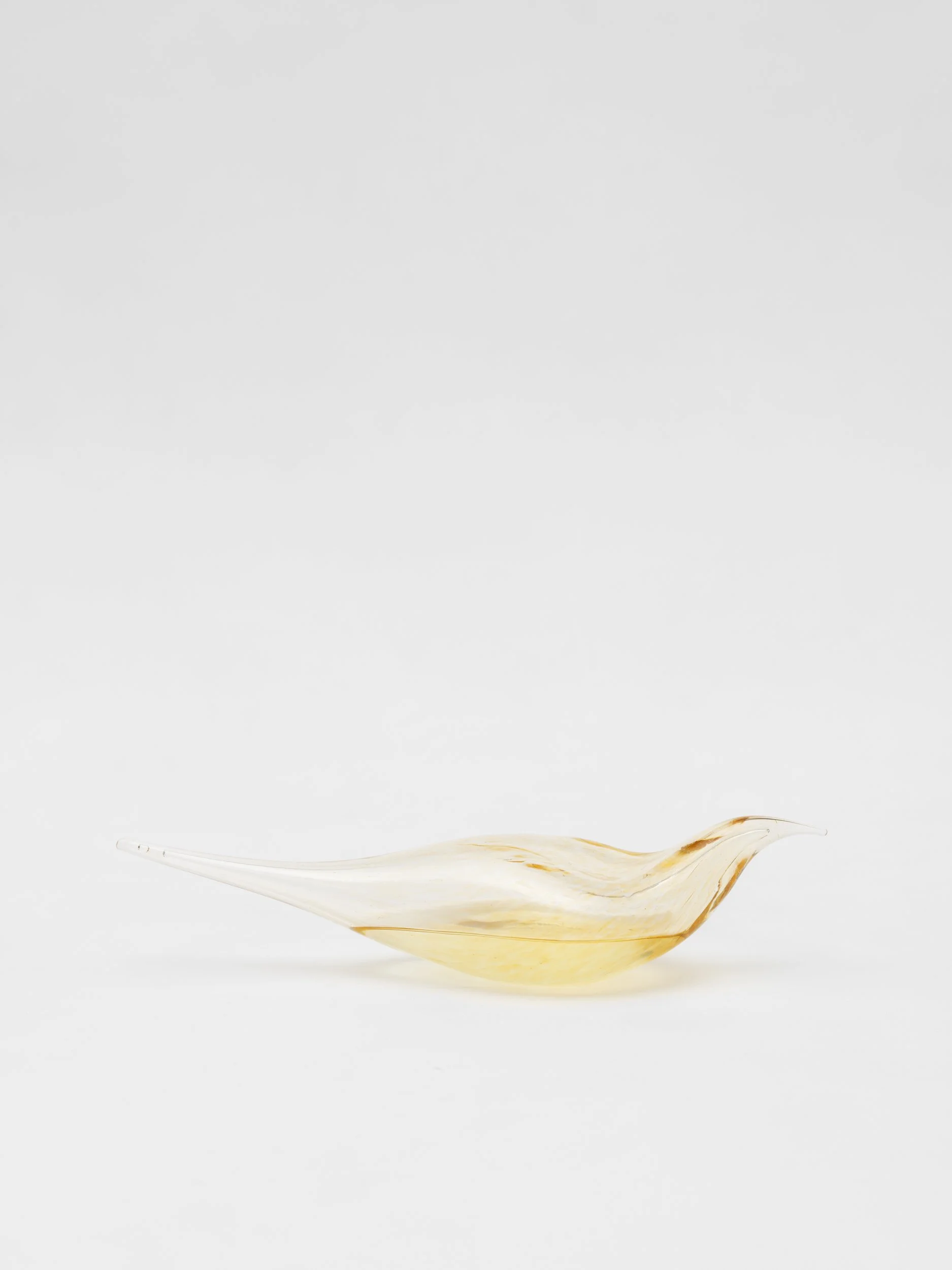 FLR07772-Modifica.jpg