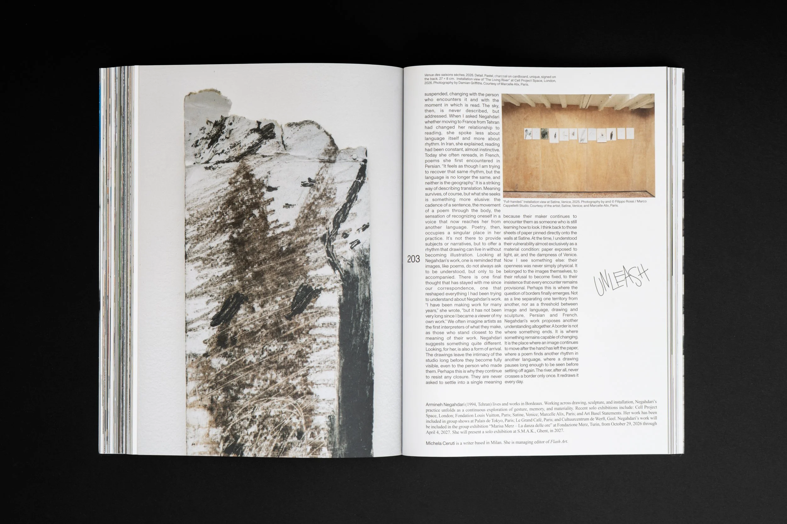 Flash Art ISSUE 356 Vol 59 - Armineh Negahdari