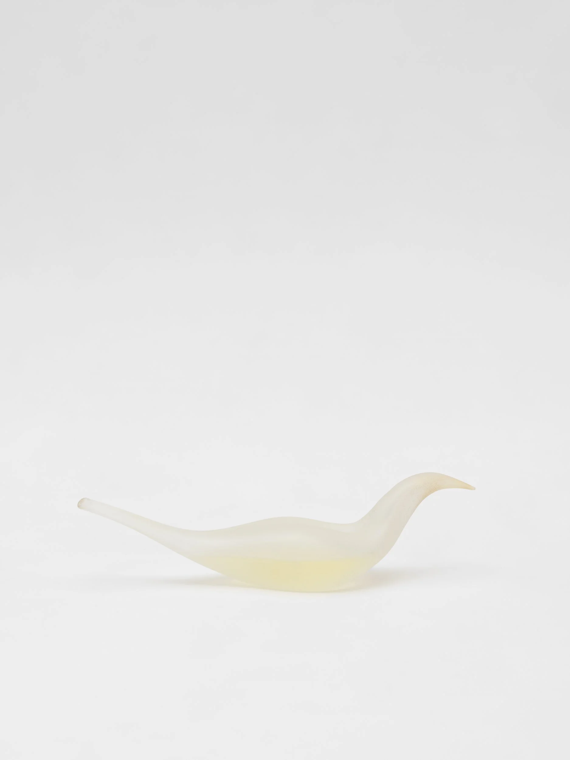 FLR07748-Modifica.jpg