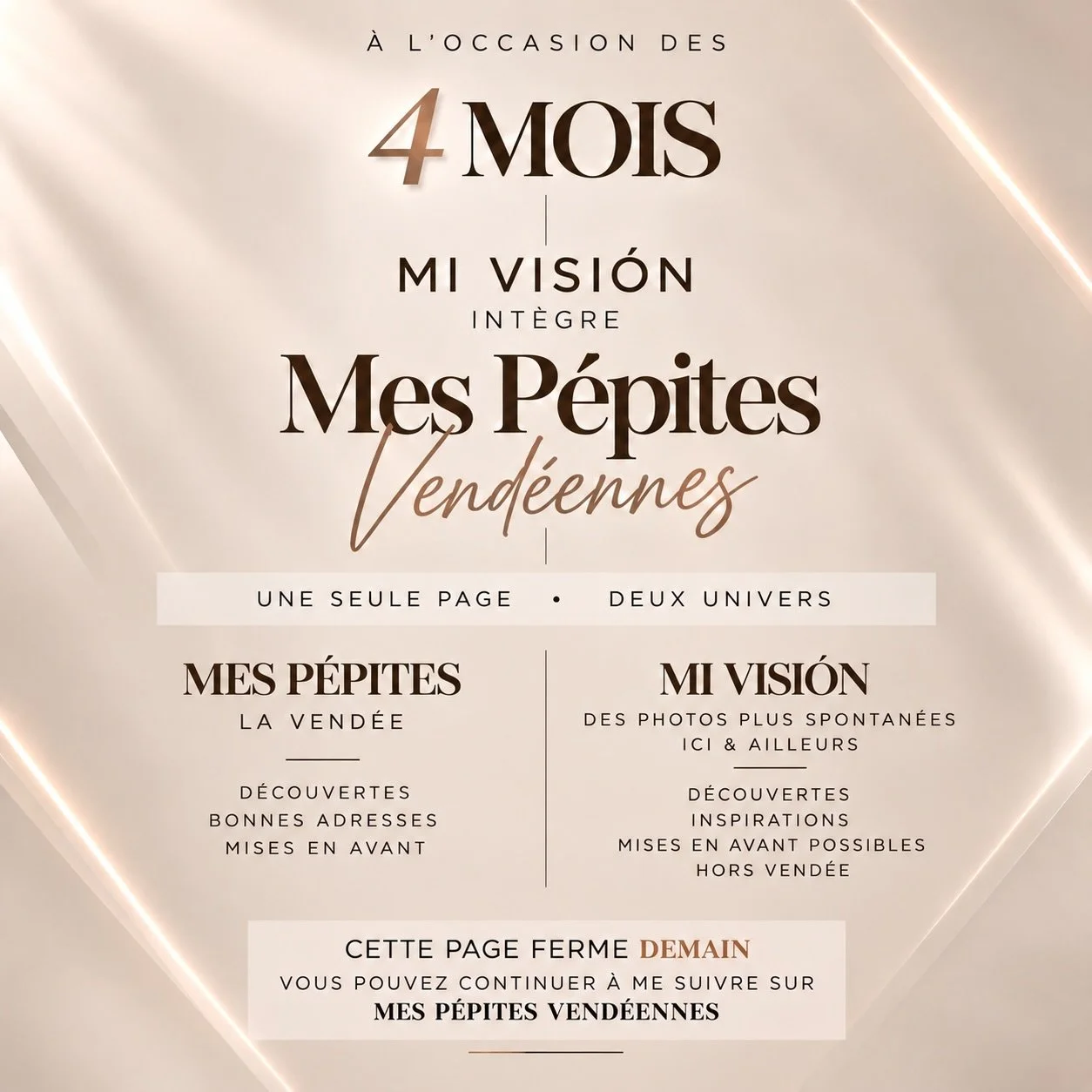 Apr&egrave;s 4 mois &agrave; faire vivre Mi Visi&oacute;n, j&rsquo;ai d&eacute;cid&eacute; de r&eacute;unir mes deux univers sur une seule page.

&Agrave; partir de maintenant, Mi Visi&oacute;n int&egrave;gre Mes P&eacute;pites Vend&eacute;ennes.

Vo