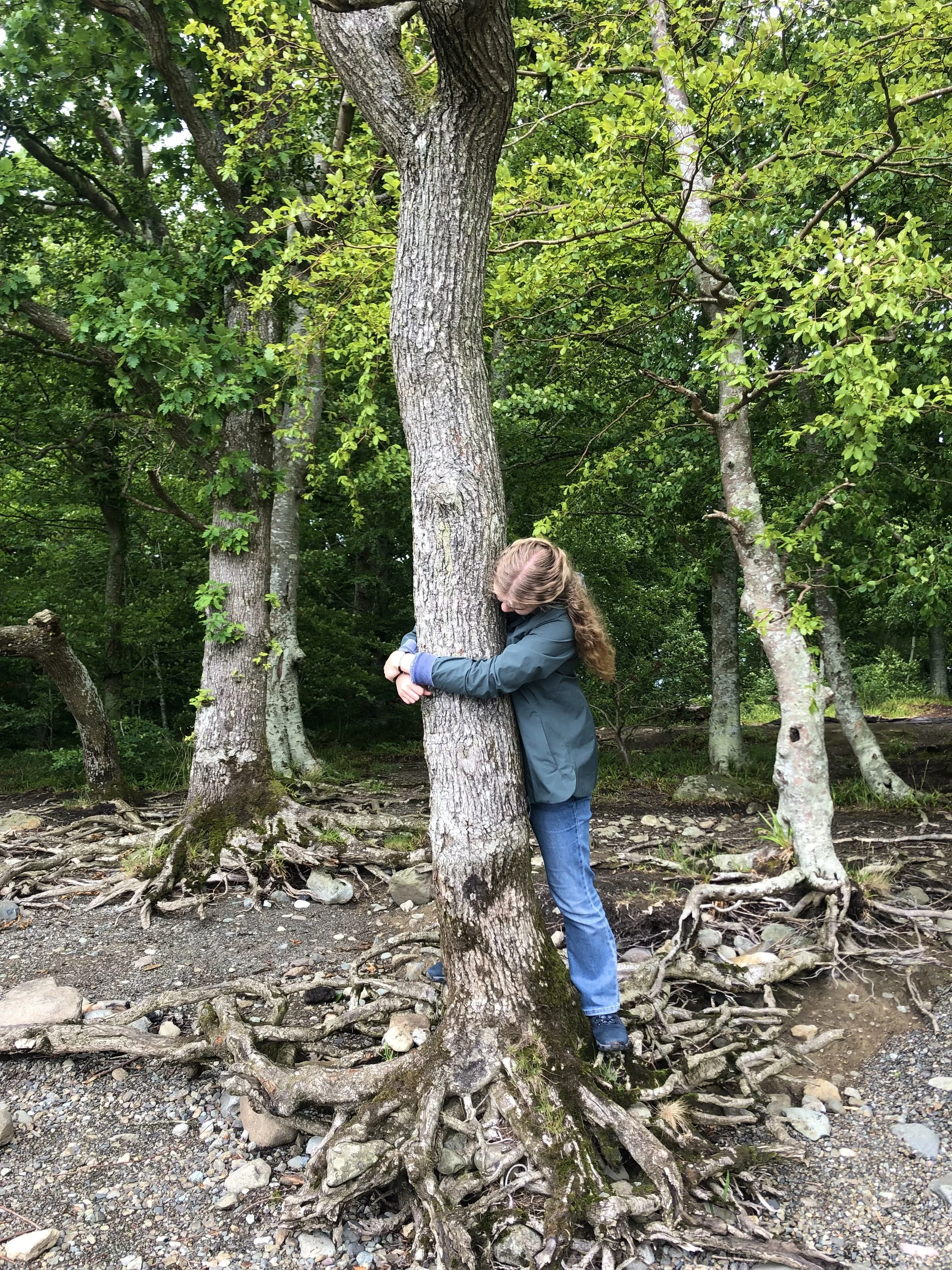 A person with long hair, dressed in a dark jacket and jeans, hugging a tree with their arms around the trunk in a wooded area. The tree's roots are exposed and spread out on the ground, surrounded by rocks and dirt, with lush green foliage in the background.