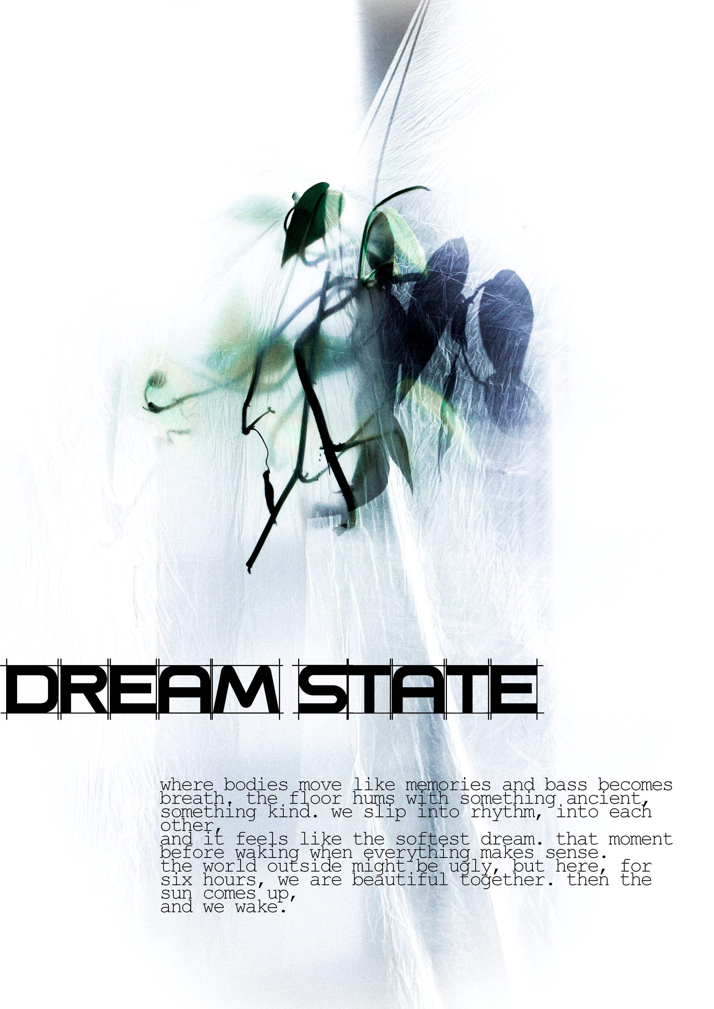 A soft, artistic image with faint, abstract plant and feather patterns. The text 'DREAM STATE' in bold, black uppercase letters is prominently overlaid. Below, a paragraph describes a dream-like state of dancing with people