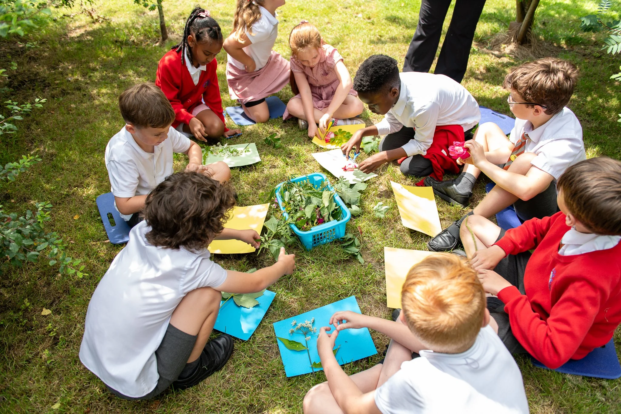 WWFSchools--66.jpg