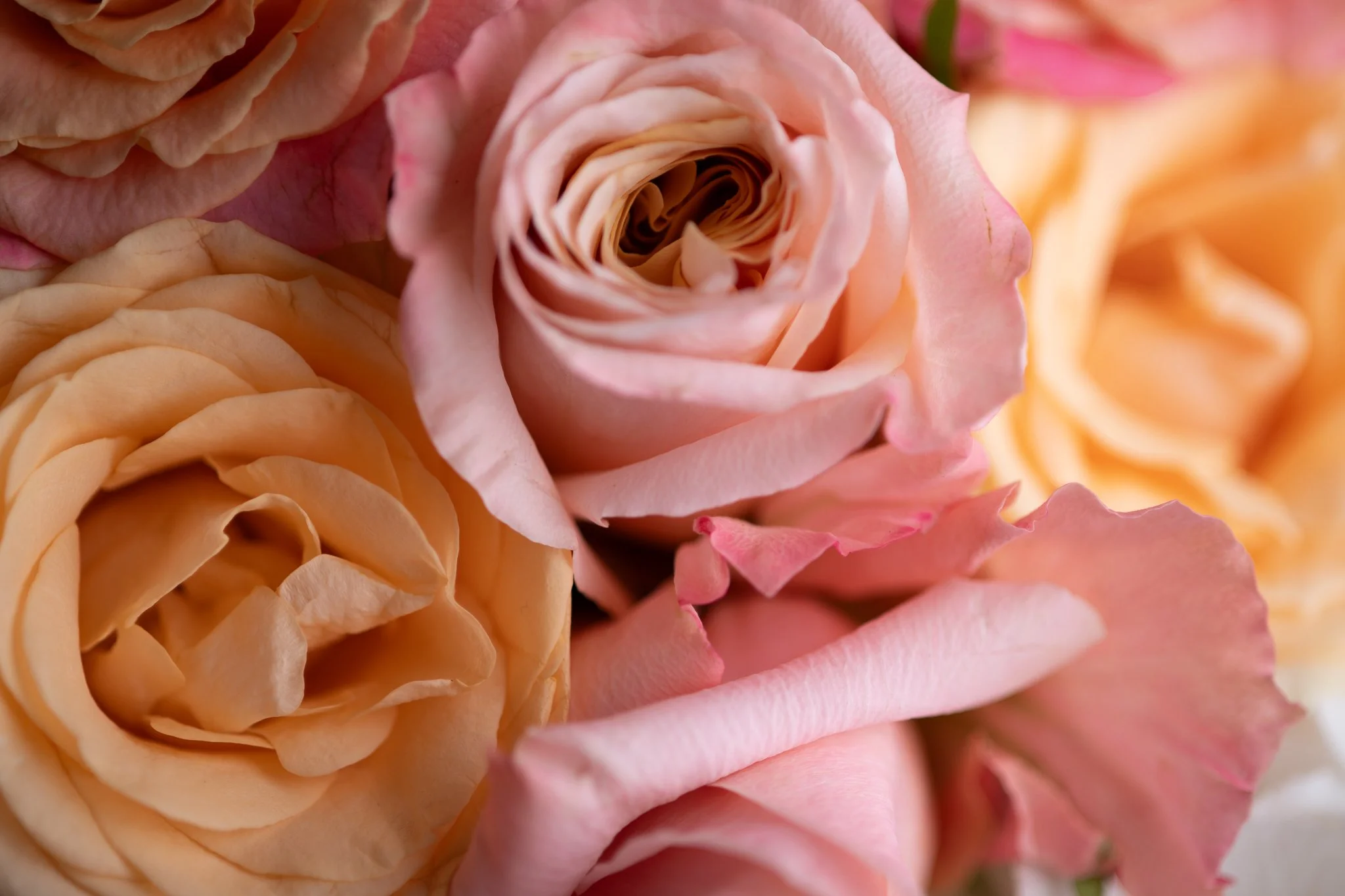 ExecFlorals.jpg