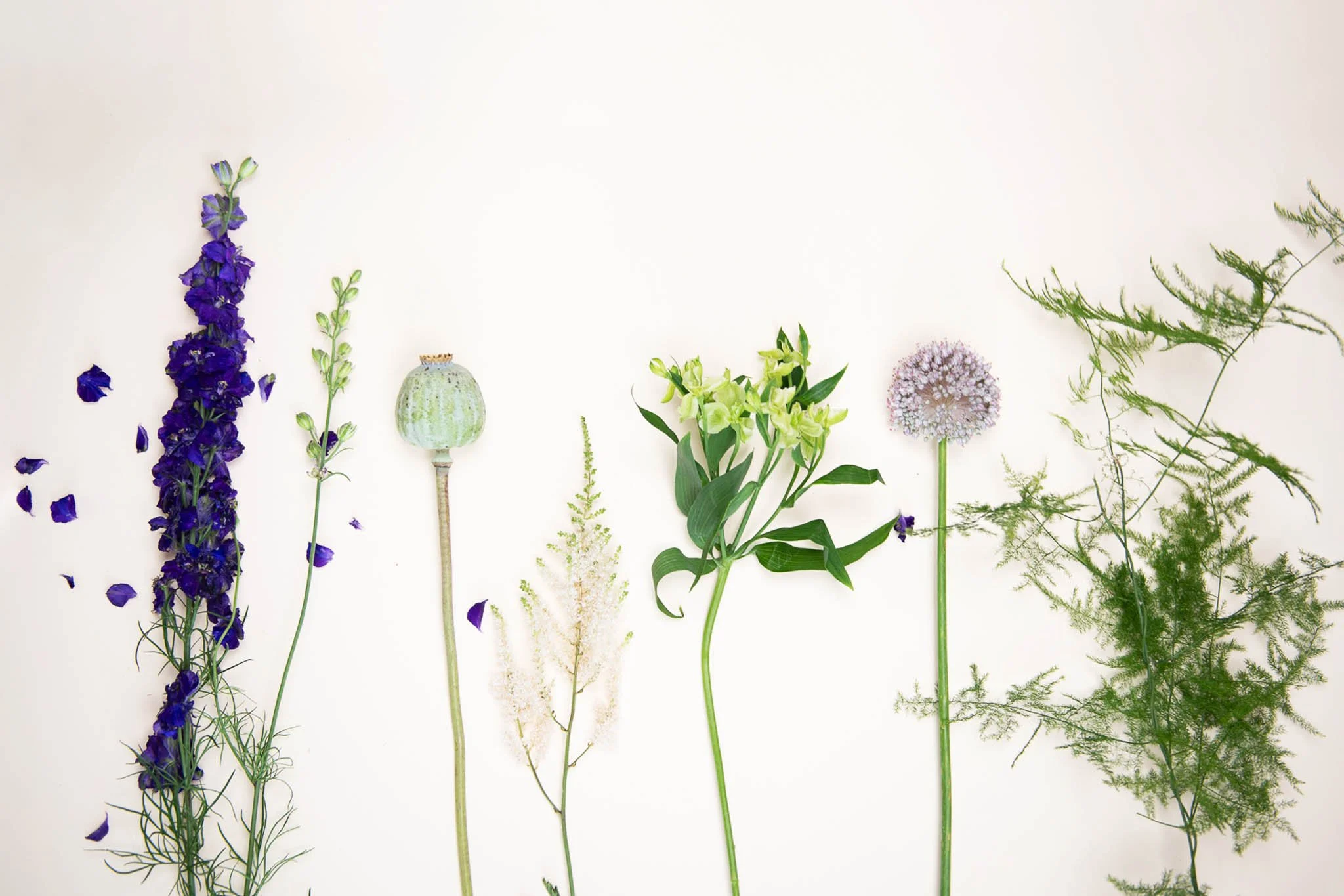 ExecFlorals-closeups-19.jpg