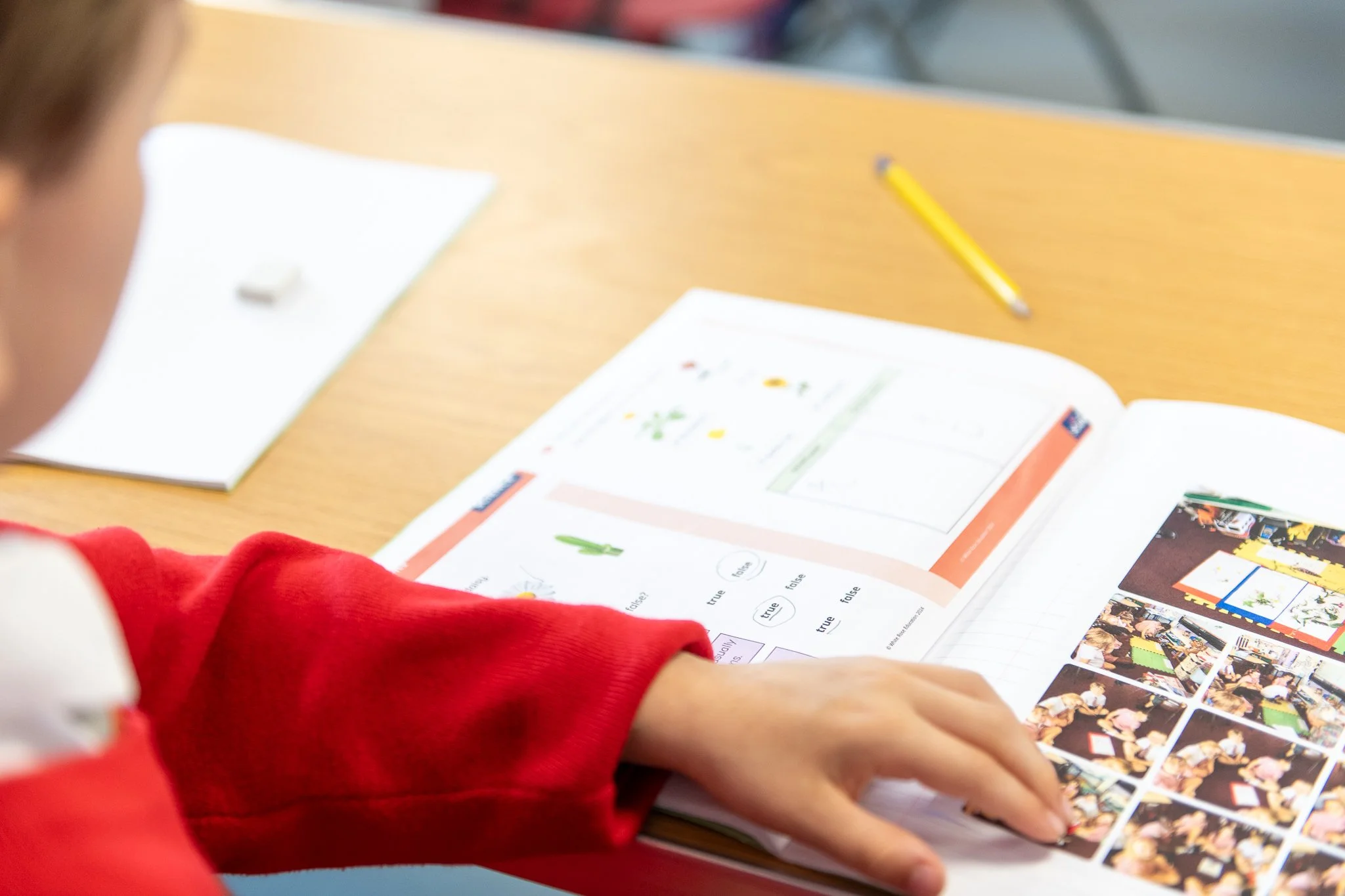 WWFSchools--70.jpg