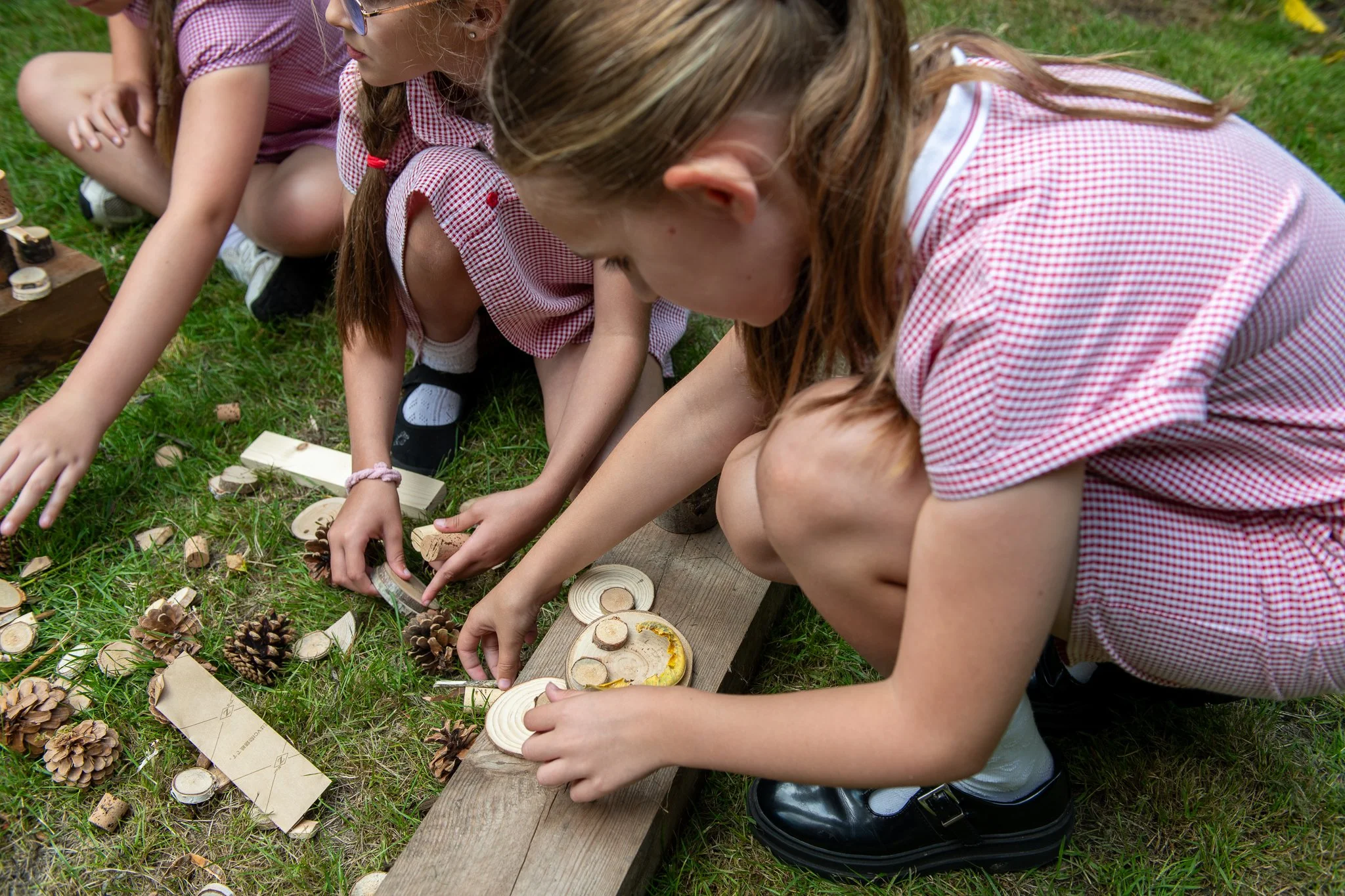 WWFSchools--73.jpg