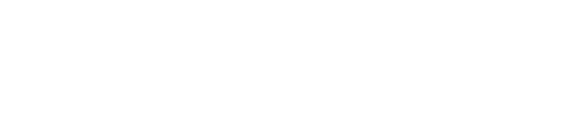 The Lingo Translation and Interpreting