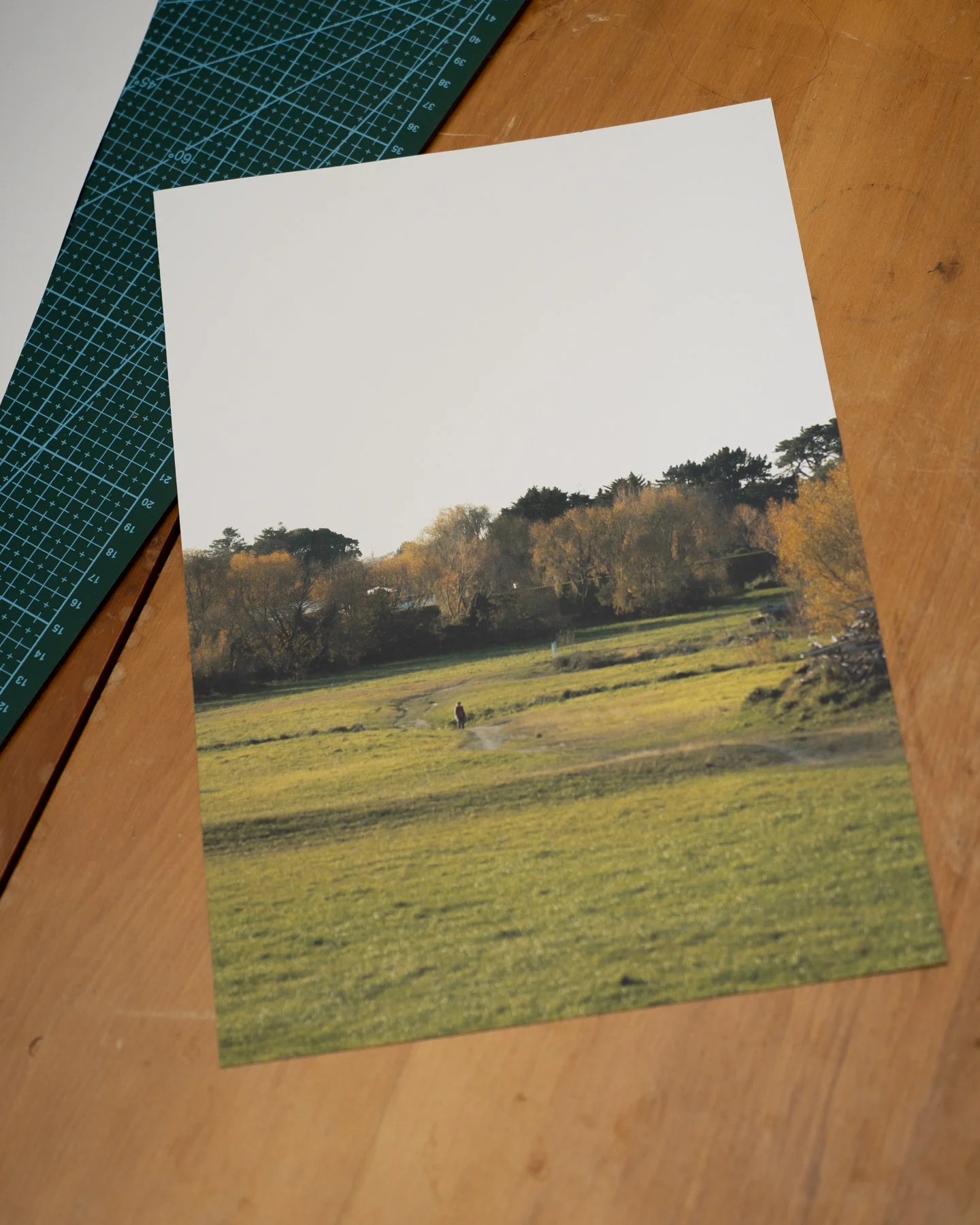 Photographic print of a person crossing a field in Palmerston North