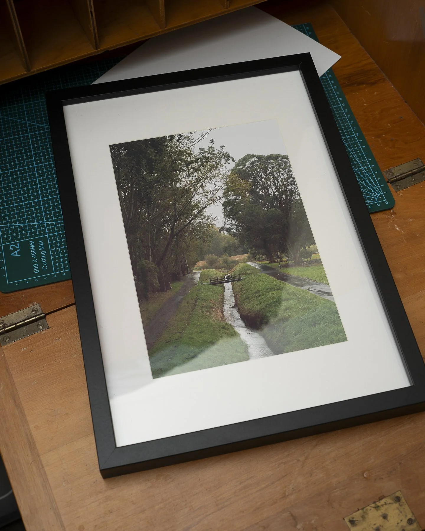 Photographic framed print of a bridge crossing a stream in Palmerston North