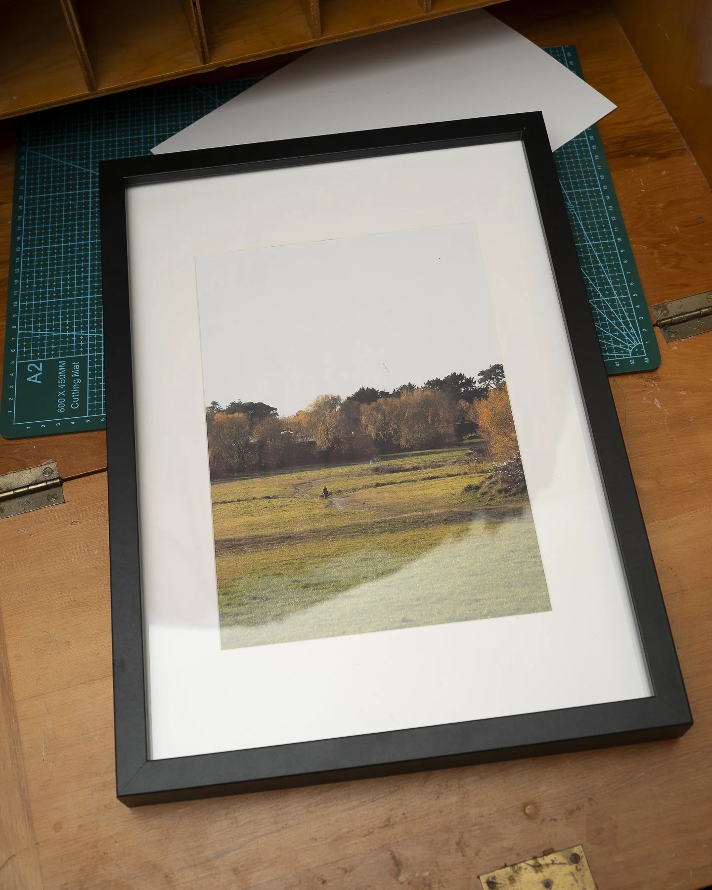Photographic framed print of a person crossing a field in Palmerston North