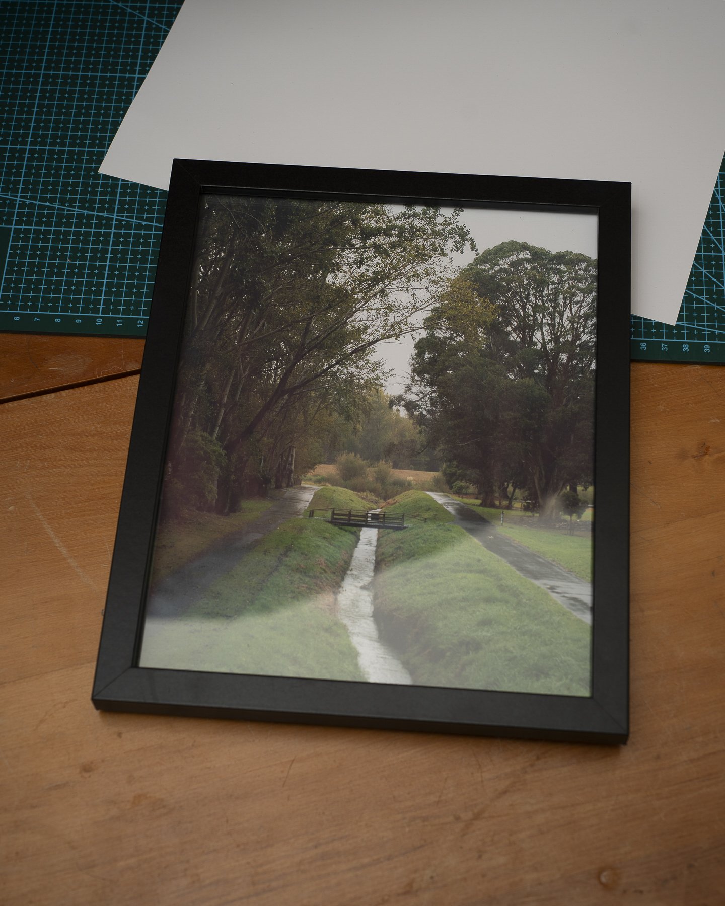 Photographic framed print of a bridge crossing a stream in Palmerston North