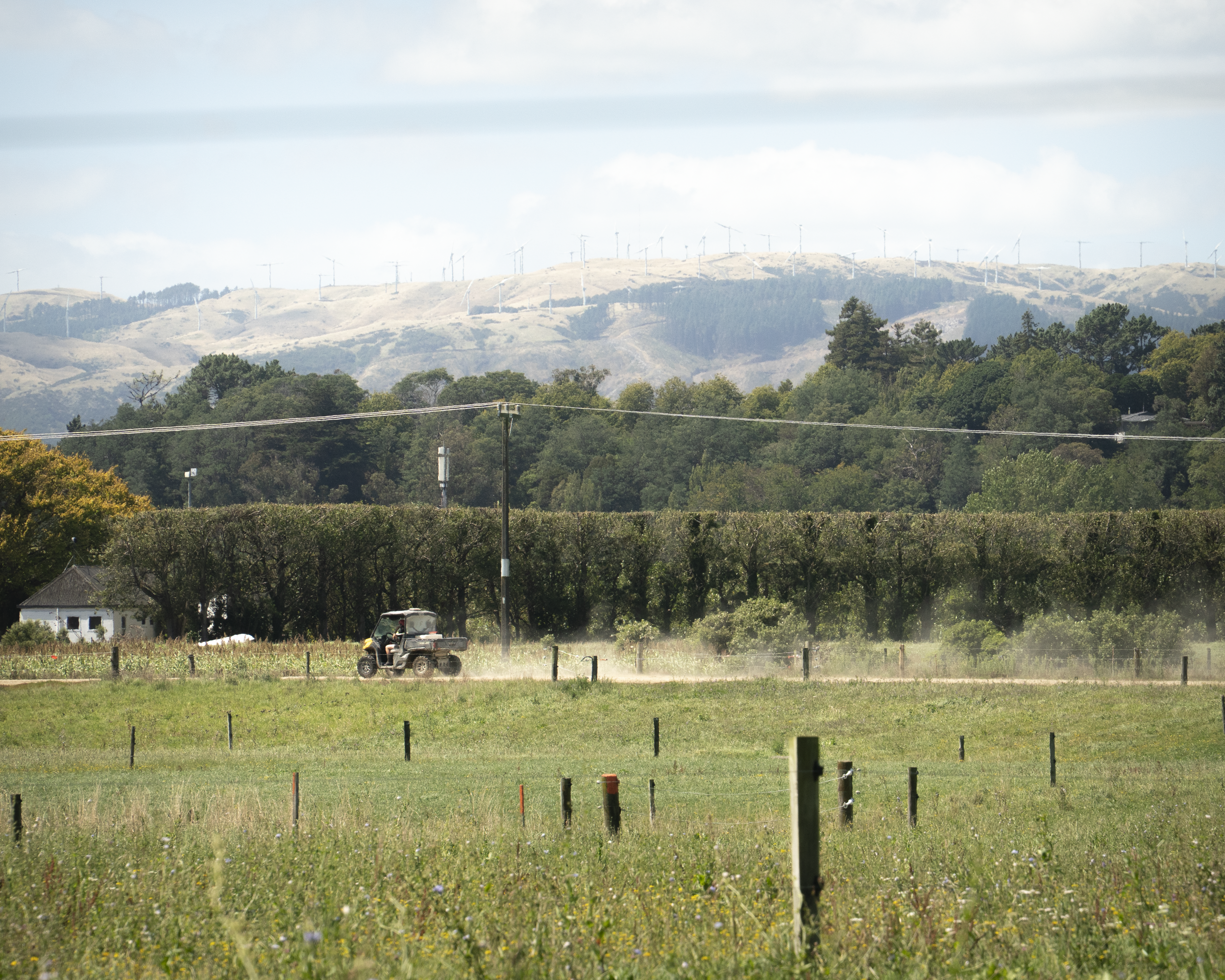 An example of Slice of Life Photography of a Manawatu farmer racing along a dirt path