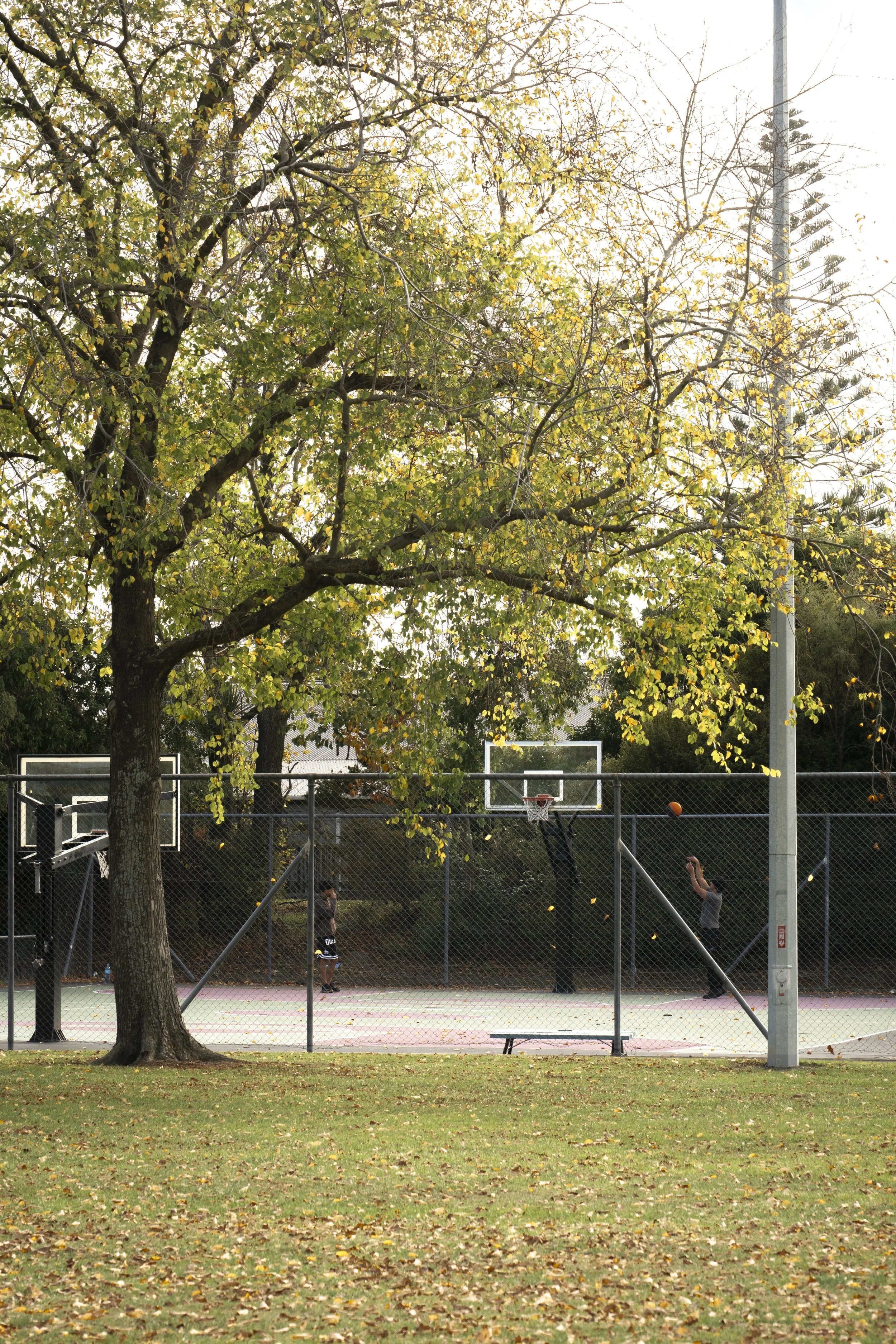 An example of Slice of Life Photography of two people playing basketball as autumn leaves fall in Palmerston North