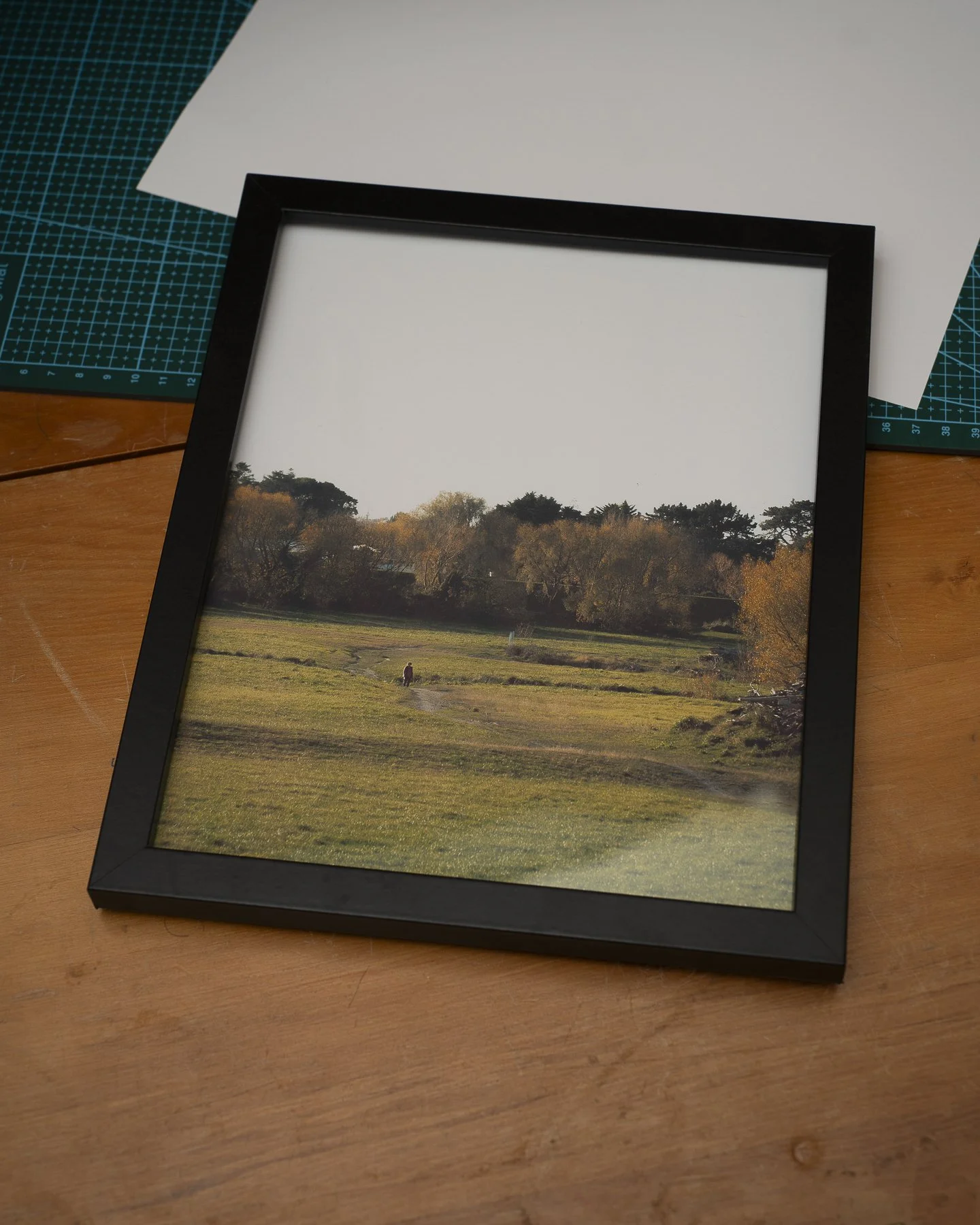 Photographic framed print of a person crossing a field in Palmerston North