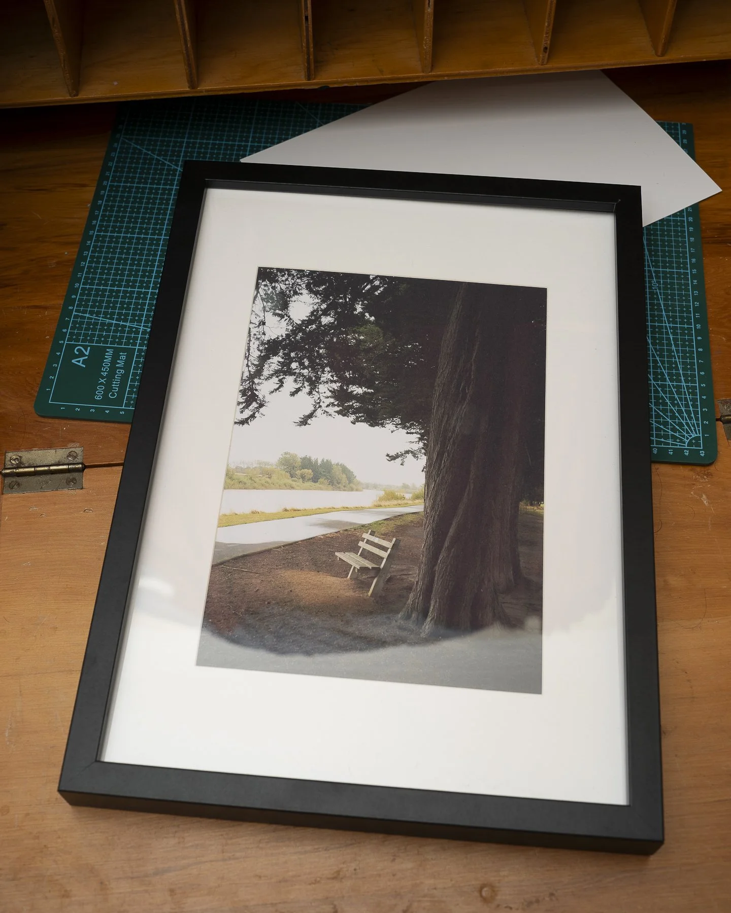 Photographic framed print of a bench next to the Manawatu River in Palmerston North