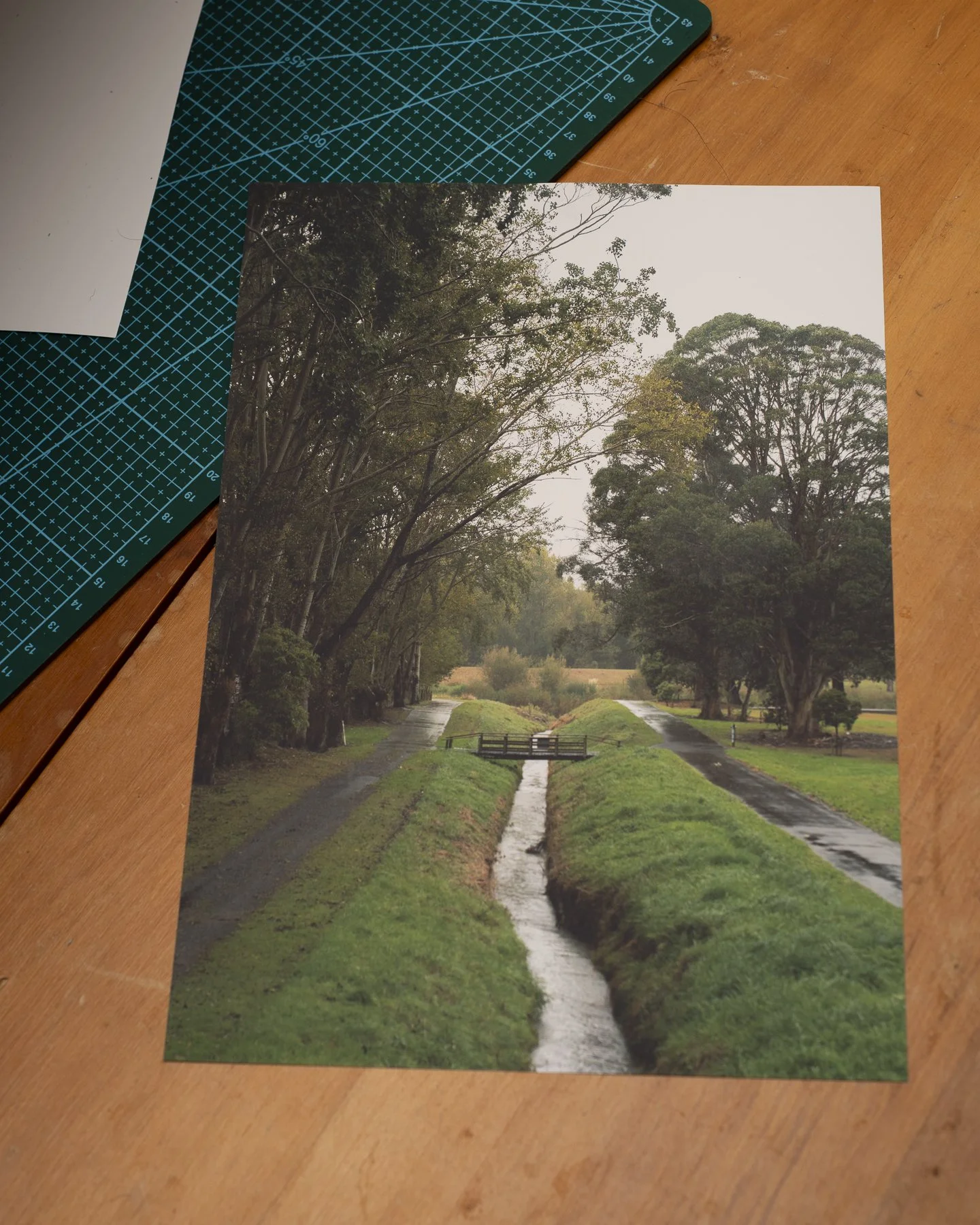Photographic print of a bridge crossing a stream in Palmerston North