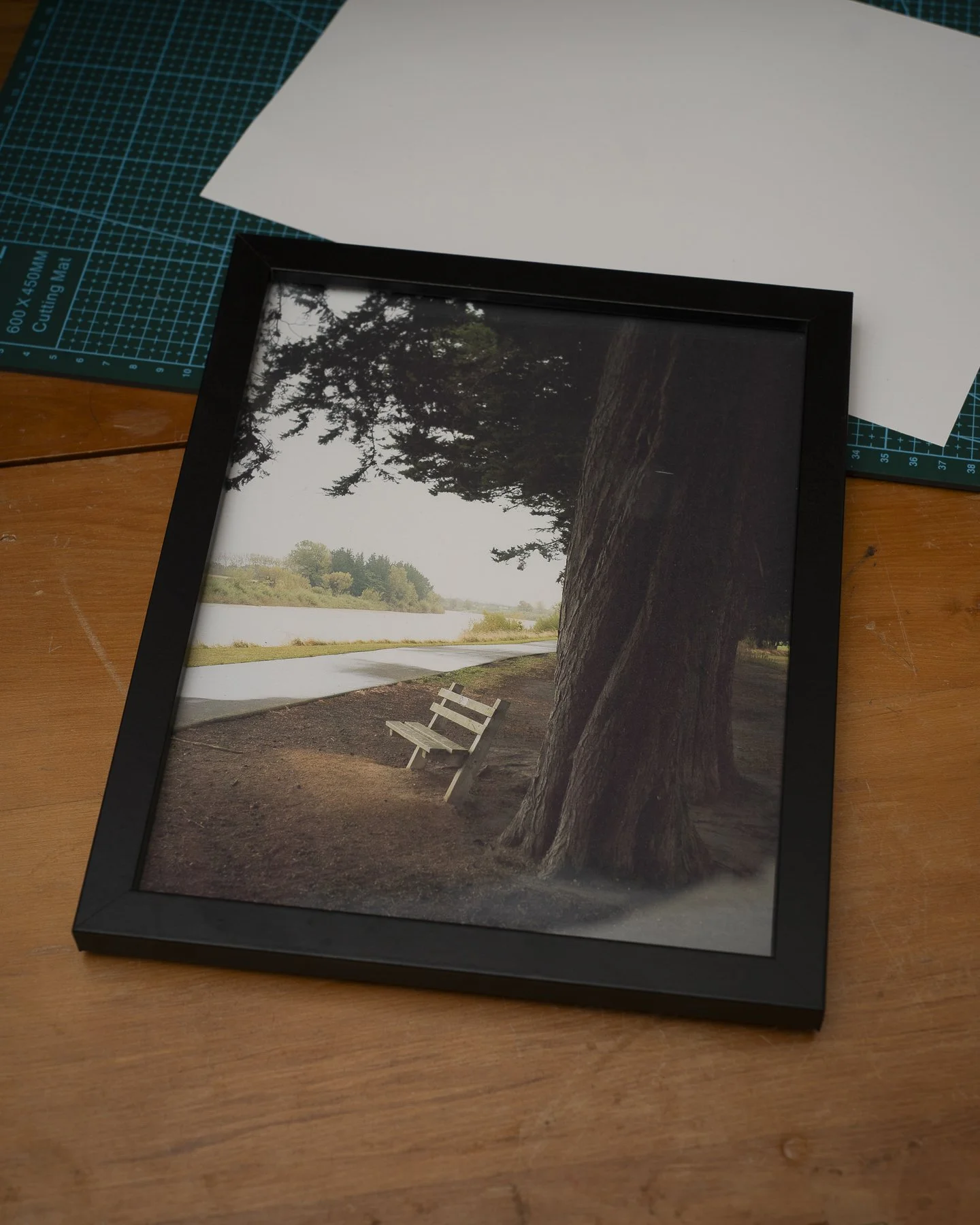 Photographic framed print of a bench next to the Manawatu River in Palmerston North