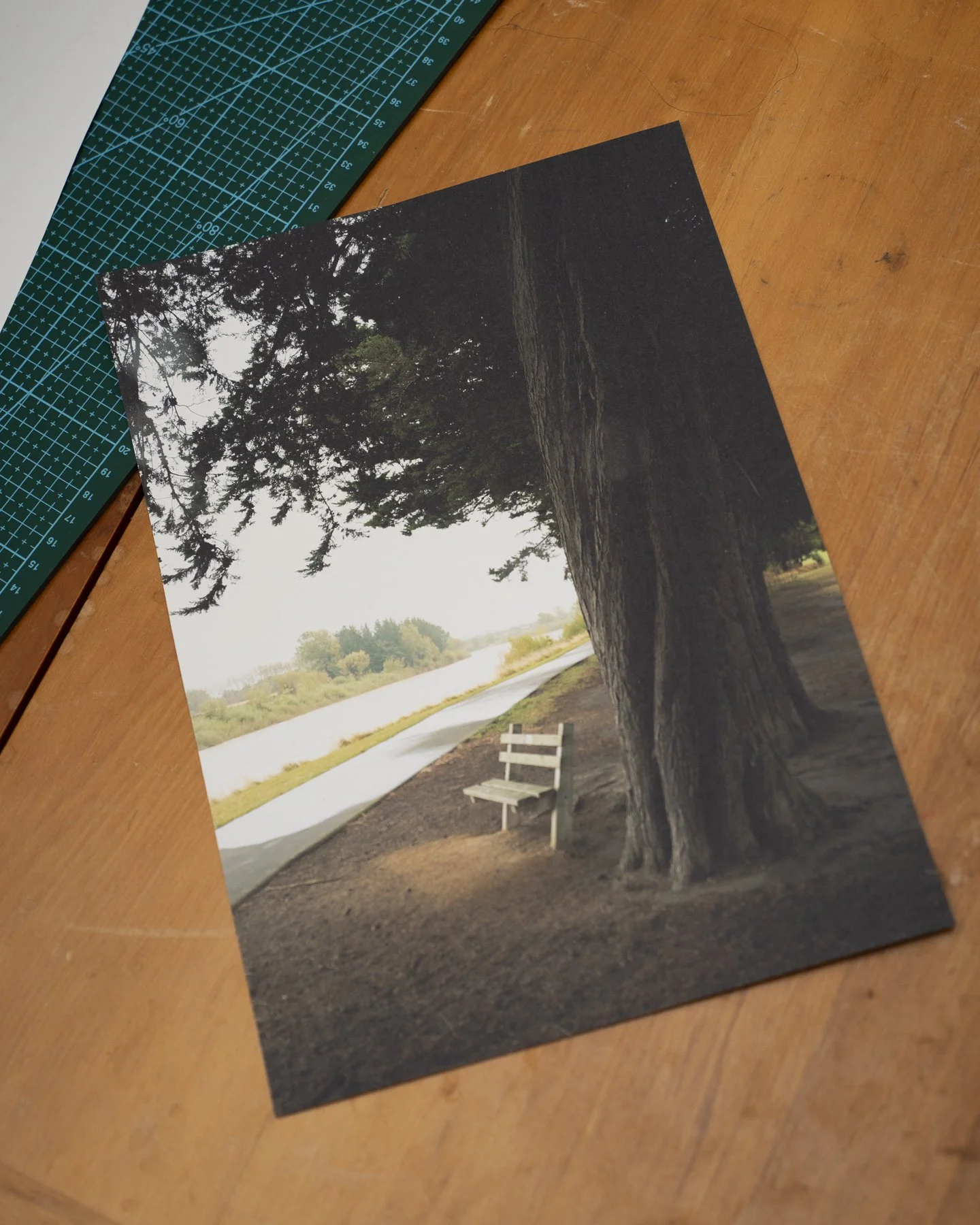 Photographic print of a bench next to the Manawatu River in Palmerston North