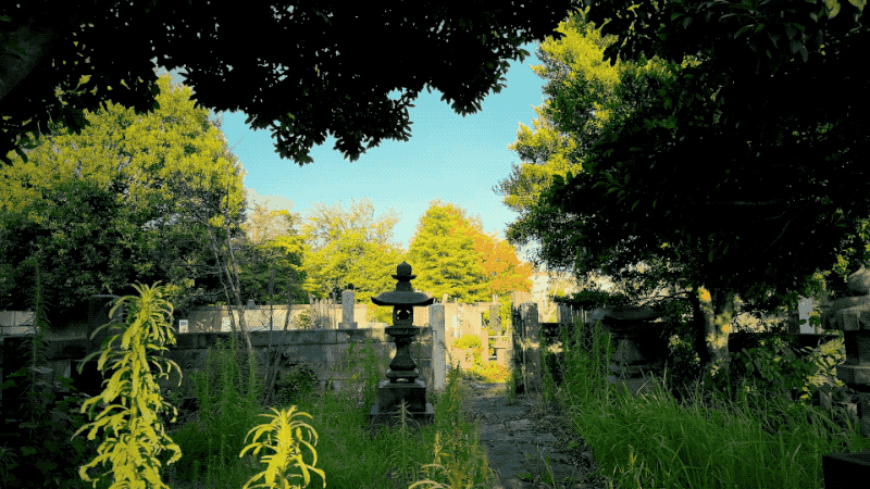 JAPAN23GIF-022.gif