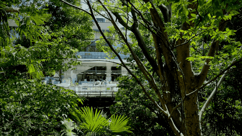 JAPAN23GIF-035.gif