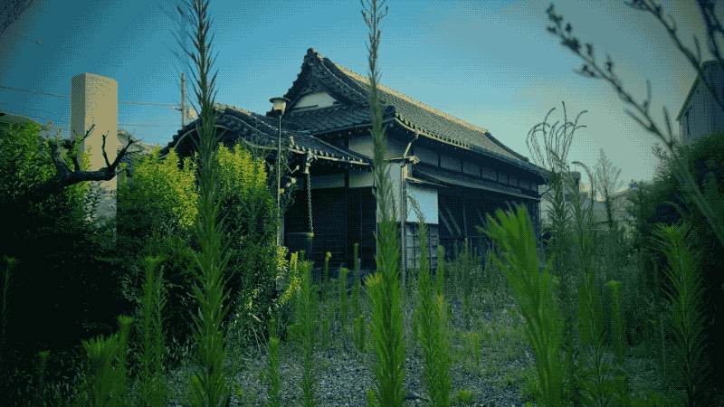 JAPAN23GIF-039.gif