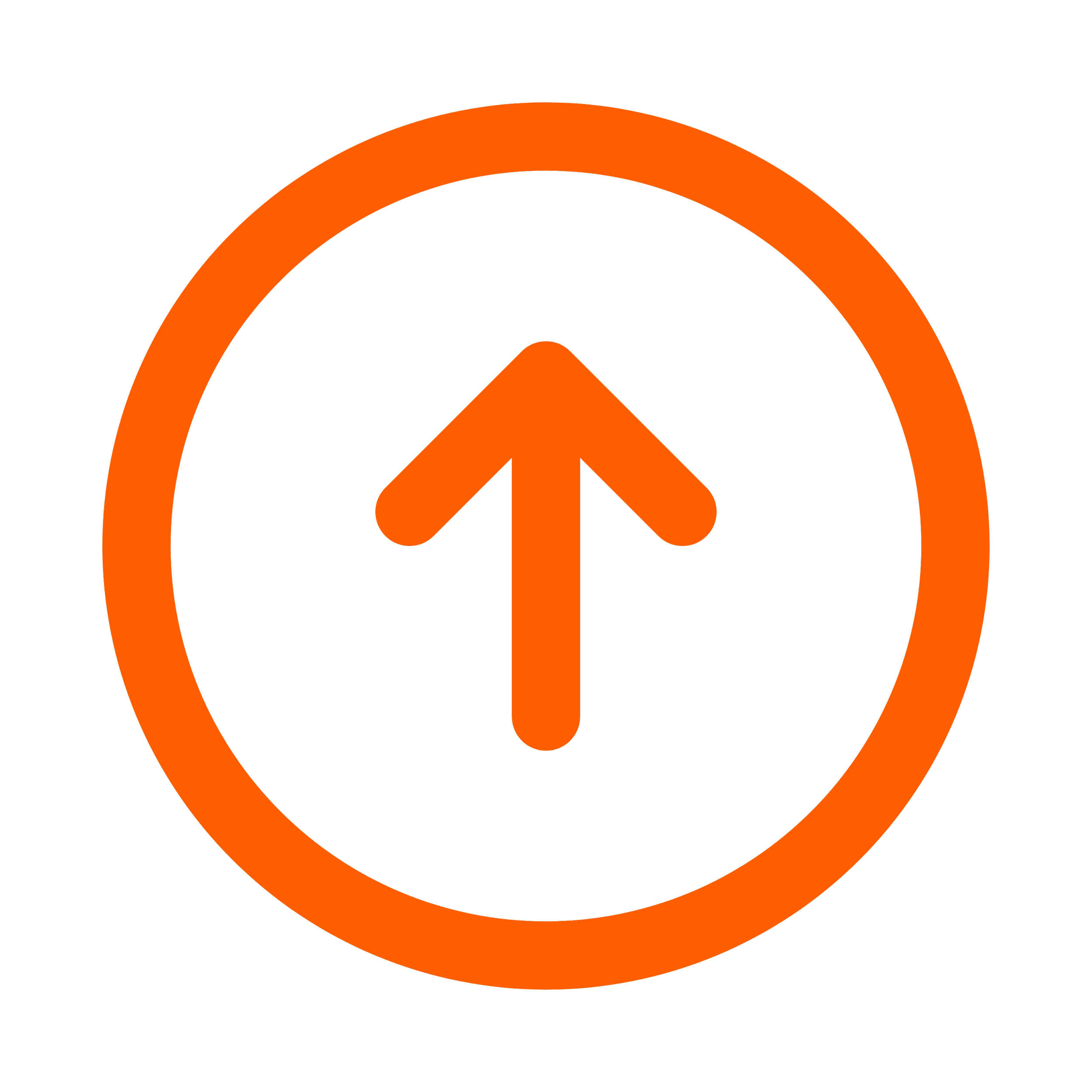 Scroll to Top