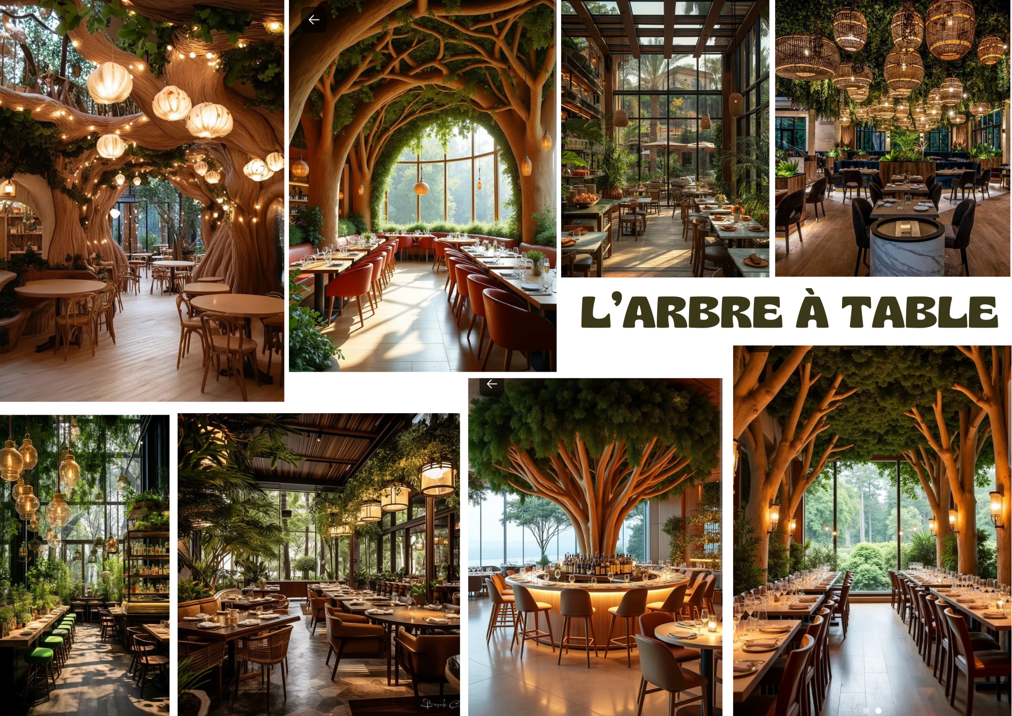 L'Arbre à table