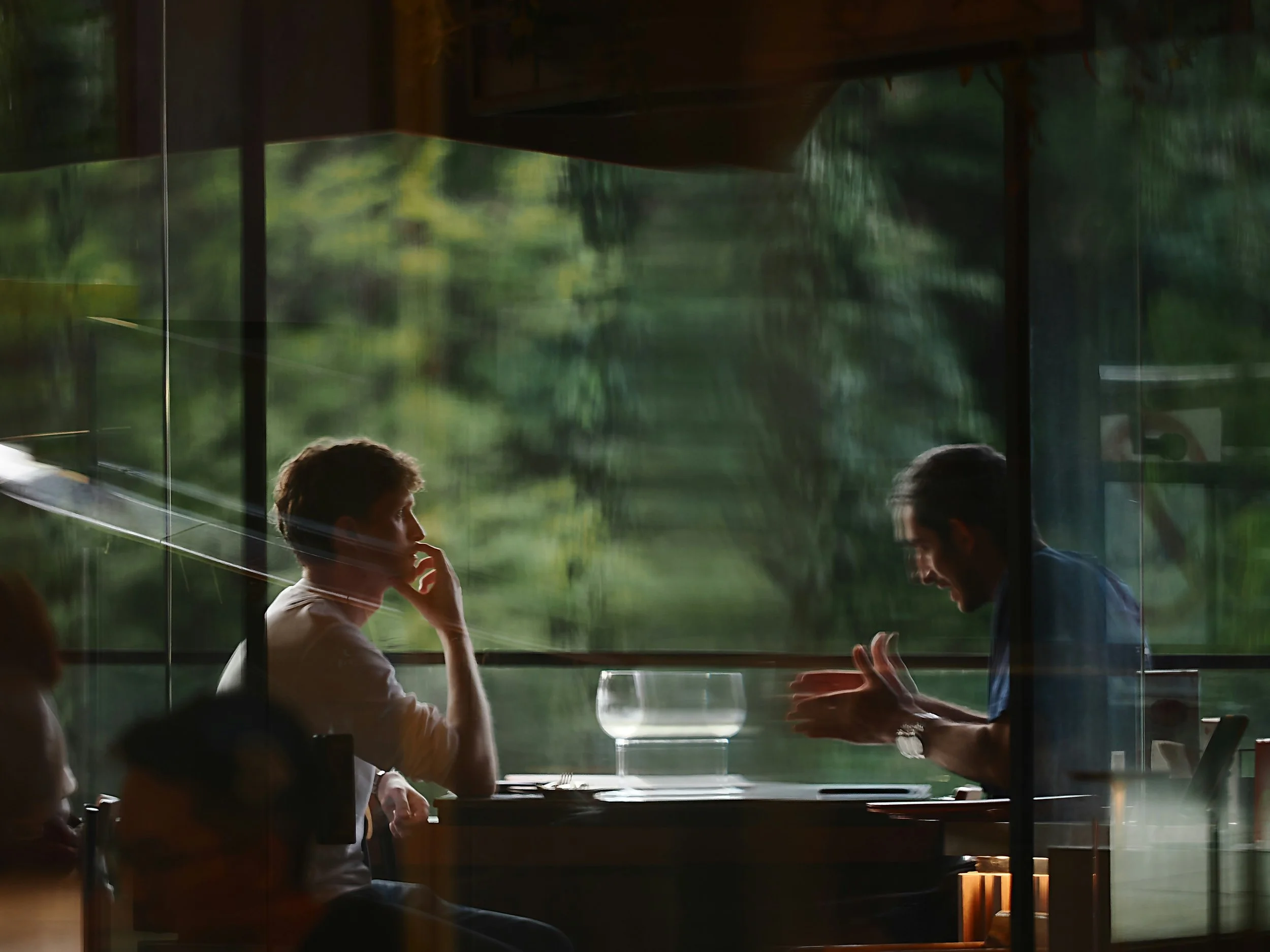 Two young men are sitting at a table having a conversation in a restaurant or cafe. They are seen through a glass window, with lush green foliage outside. The man on the left has short hair and is resting his chin on his hand while listening. The man on the right, with dark hair, is speaking and gesturing with his hands. There is a wine glass in front of them on the table.
