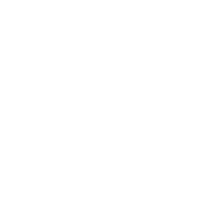 Black and white illustration of a circular object with inner and outer rings and internal segments