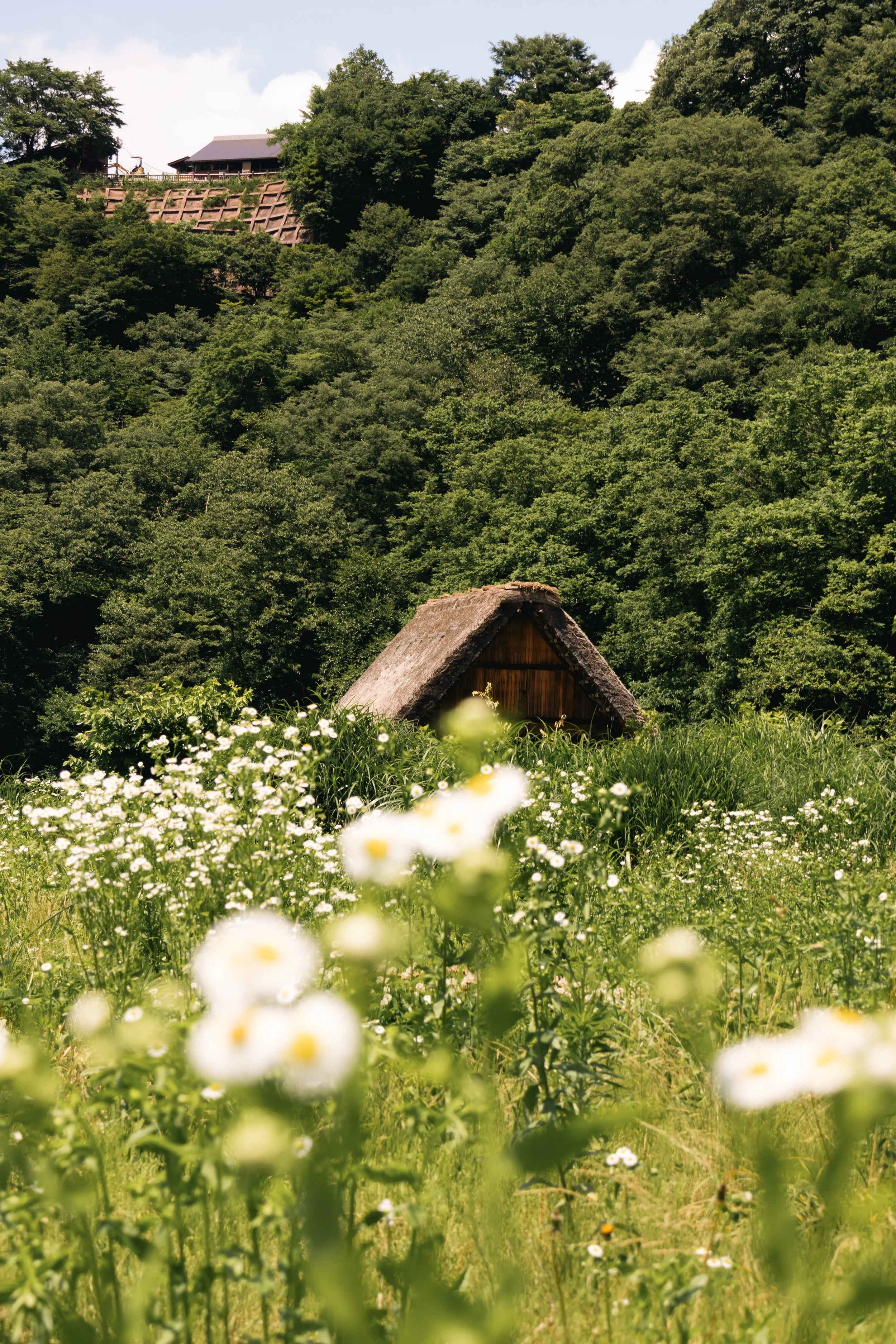 Traditional thatched-roof Gassho-zukuri houses in Shirakawa-go, Japan, representing the immersive journey experience of Hayah Reserve.