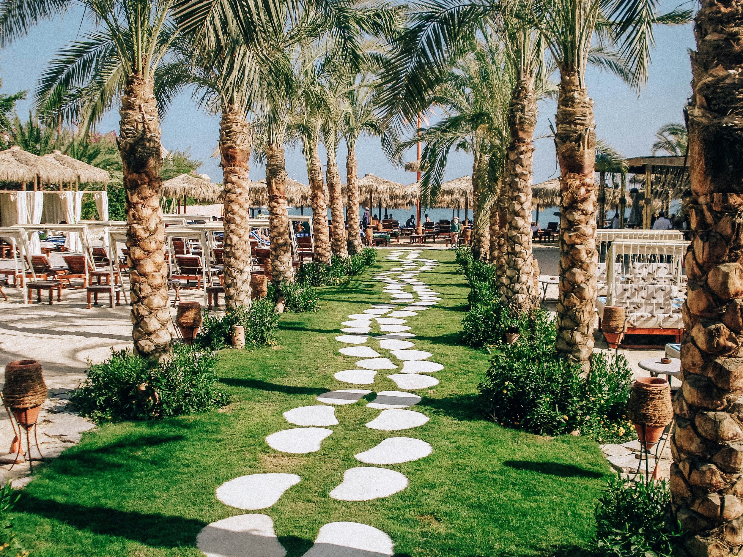 A tropical beach resort scene with palm trees, thatched-roof cabanas, and seating by the water, a pathway of round stepping stones through the grass.