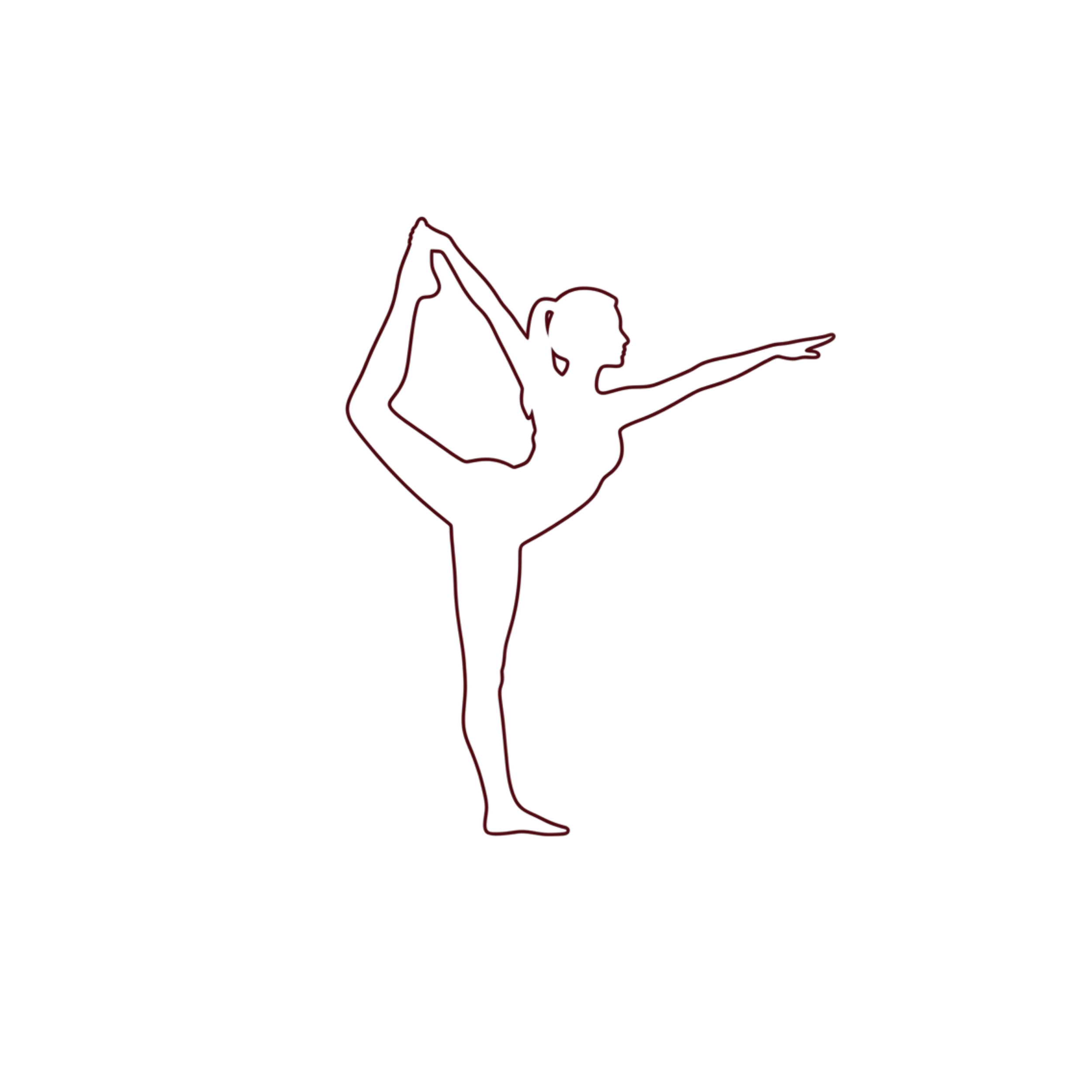 Diagram of the human reproductive system, focusing on the male anatomy, showing the penis, testicles, and associated structures.
