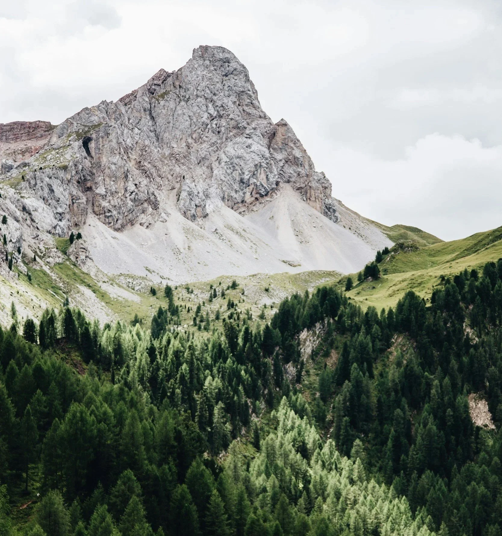 Close up of a very tall mountain peak, with white clouds behind it, and a pine forest below it.