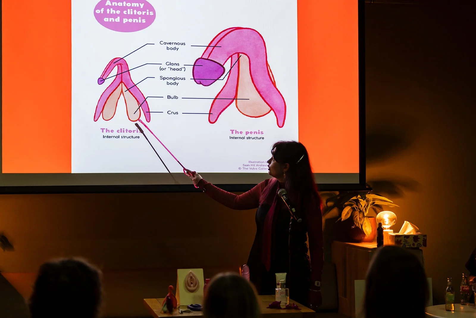A woman giving a presentation on female and male genital anatomy, with a diagram showing parts of the clitoris and penis on a large screen.