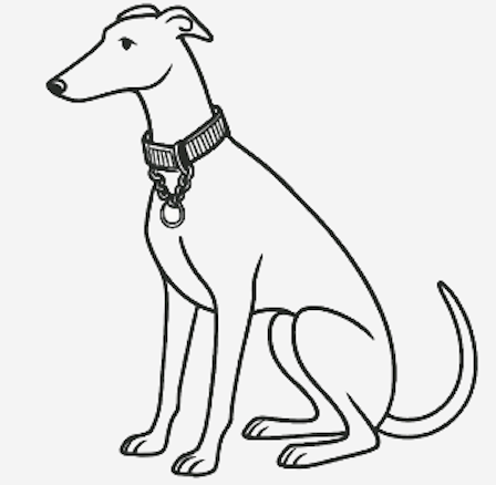 Line drawing of a dog sitting with a collar and tag.