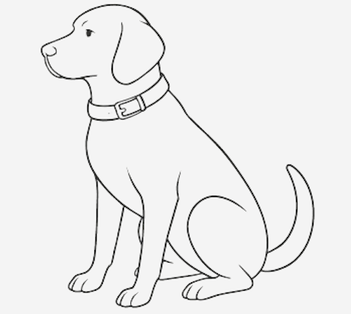 A line drawing of a sitting dog with floppy ears and a collar.