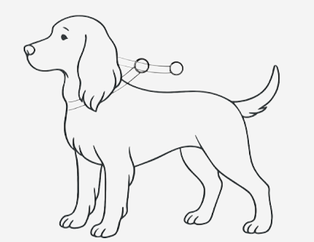 Line drawing of a dog with a collar and tag.