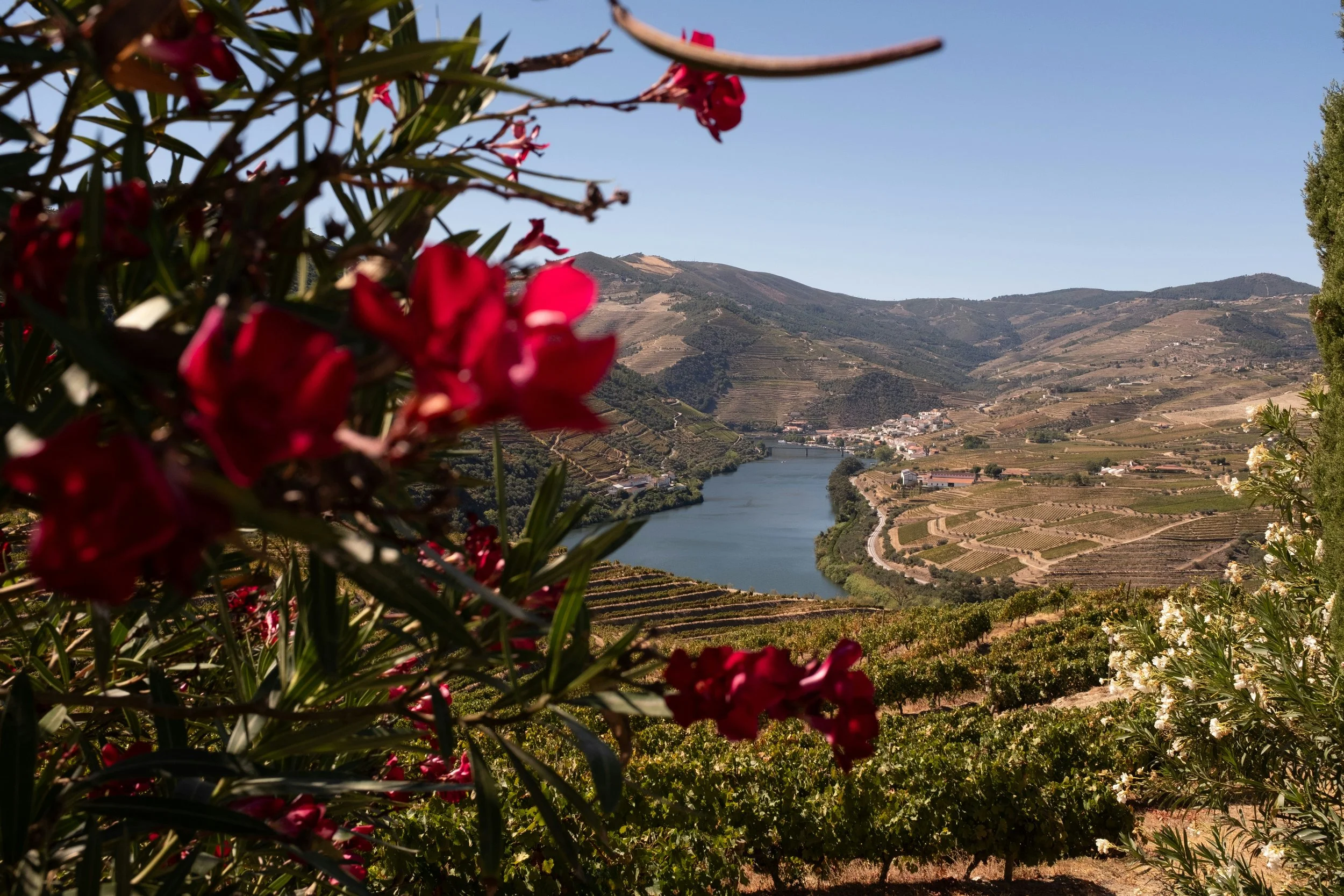 Destination wedding in portugal - warum eure gäste dieses wochenende nie vergessen werden
