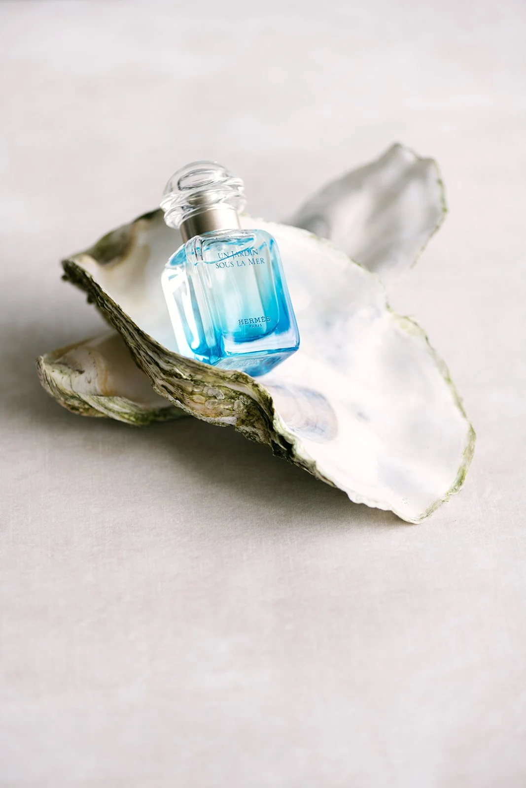 Ein Flakon mit blauer Kosmetikflüssigkeit liegt auf einer Muschel.