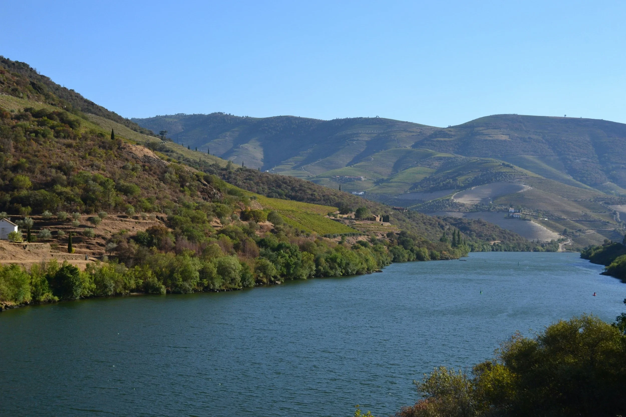 Landschaft mit Fluss, Weinbergen und Hügeln unter blauem Himmel