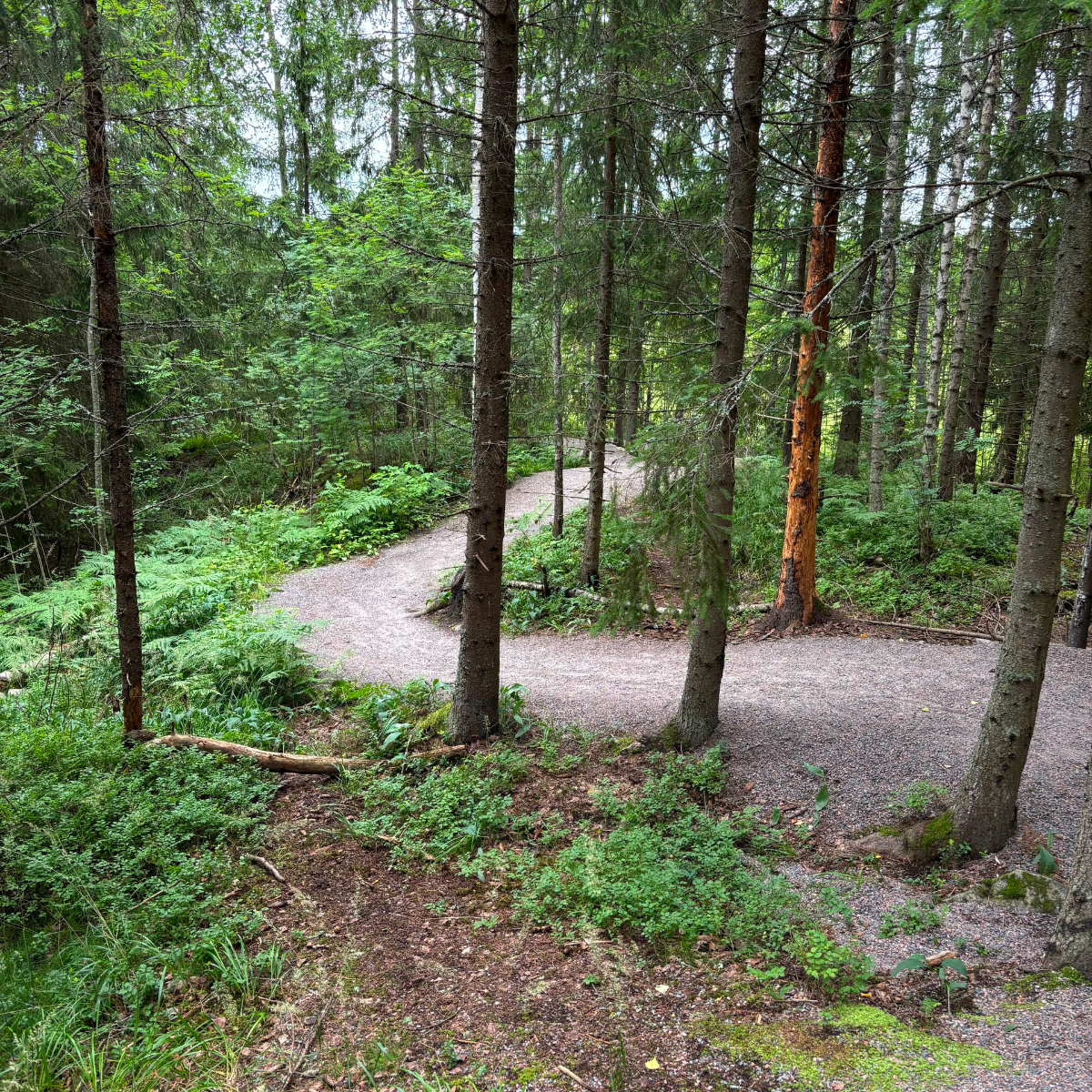 Oikealle polulle S kirjaimen muotoinen polku