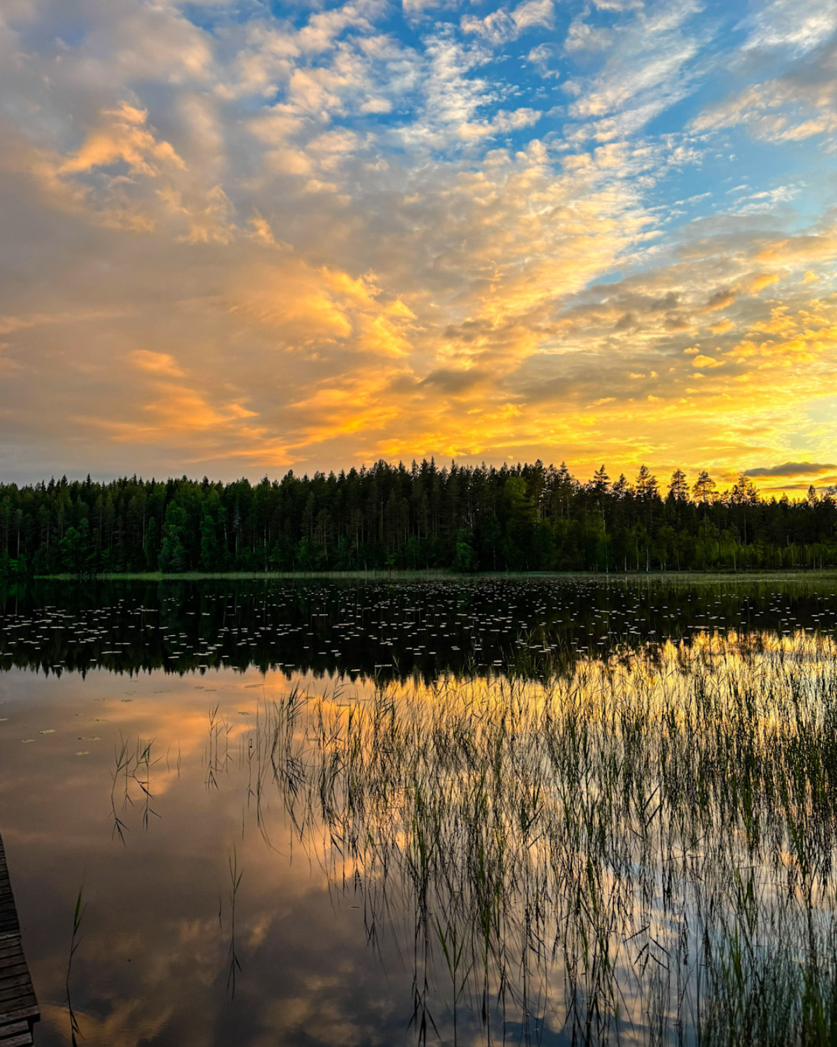 Oikealle polulle kultainen auringonlasku järven rannalla