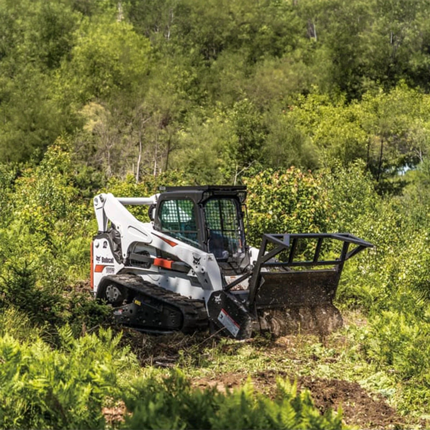 Land Clearing