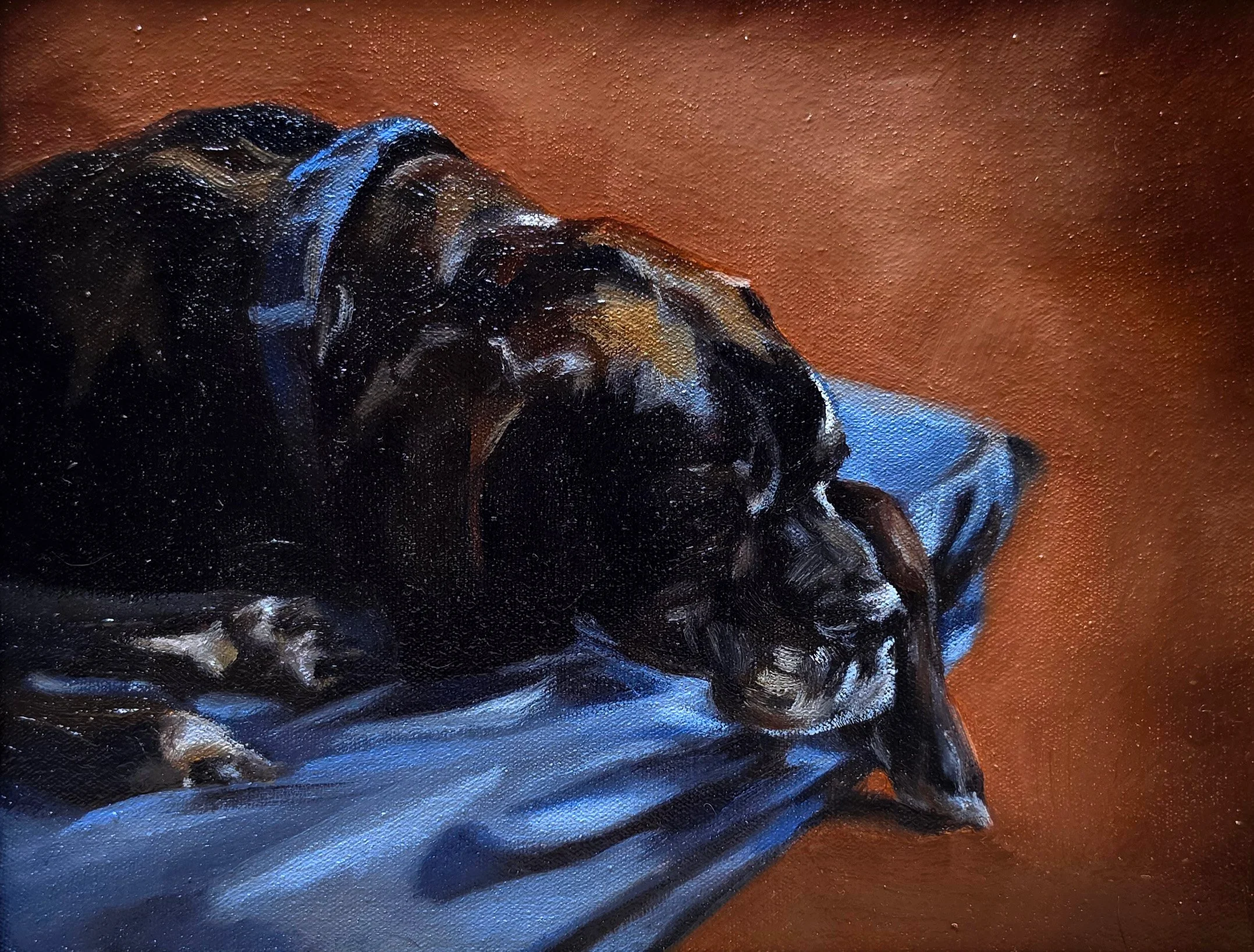 'STUDY OF A SLEEPING DANE', 2026
Oil on canvas
8x10 inches