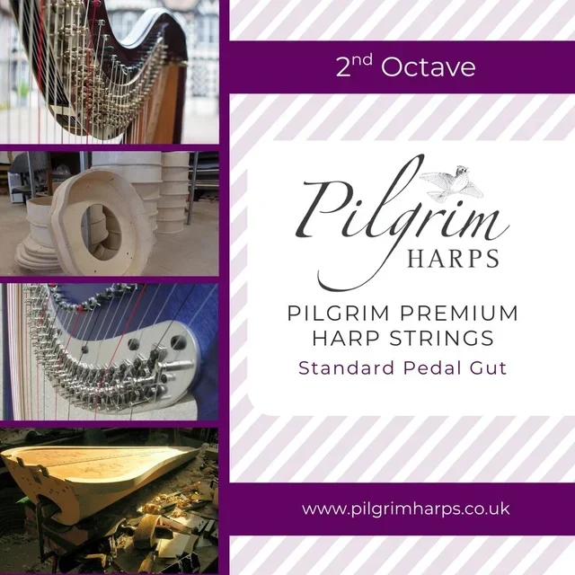 Pilgrim Premium Pedal Harp 2nd Octave Gut strings